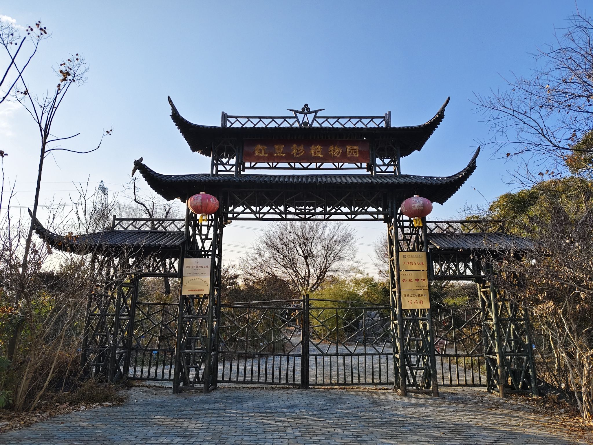 黄杨植物园旅行图片 1