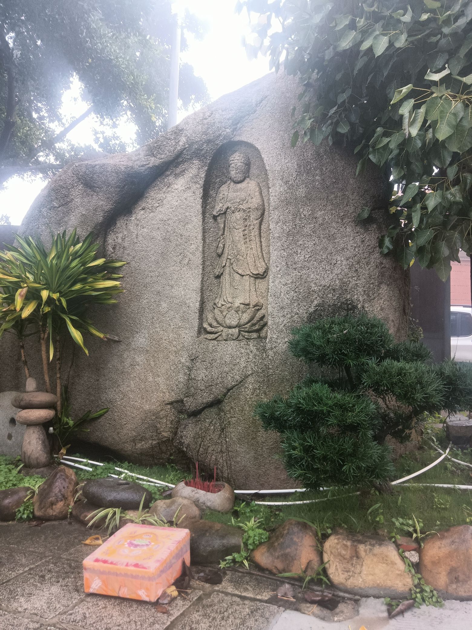 晋江紫帽铁灶山法藏寺旅行图片 2