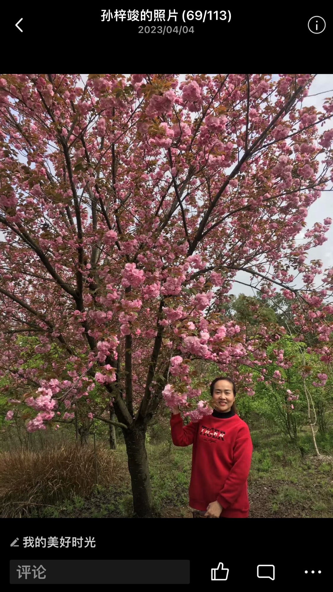川北樱博园旅行图片 2