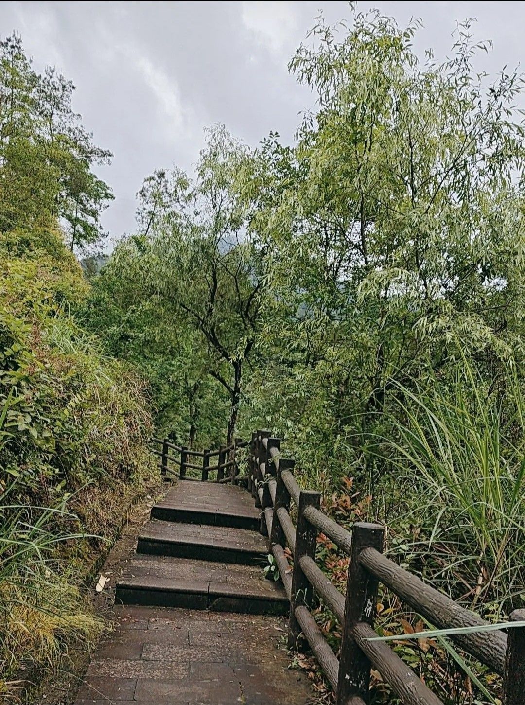 洋烈水乡风景名胜区旅行图片 1