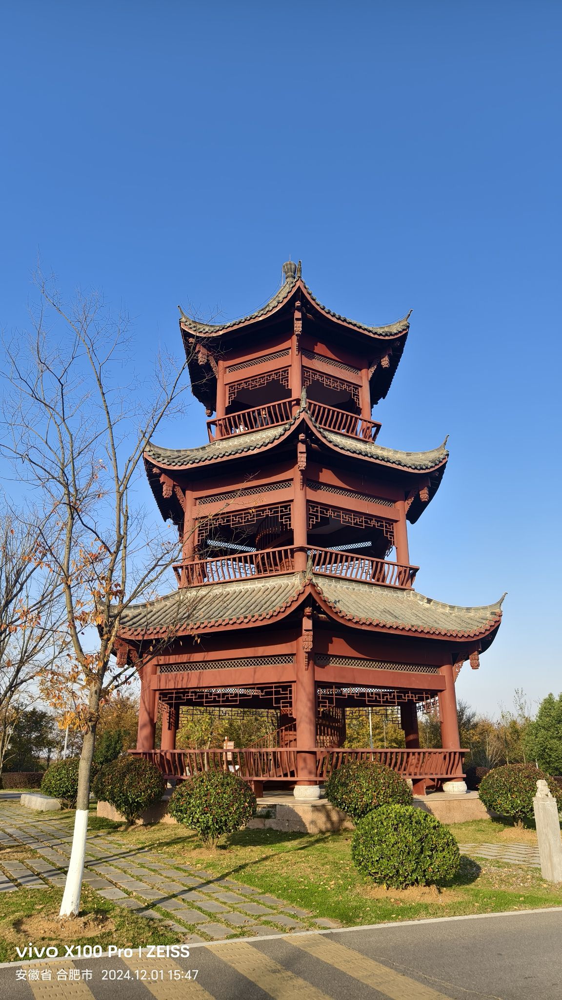 官亭林海旅行图片 3