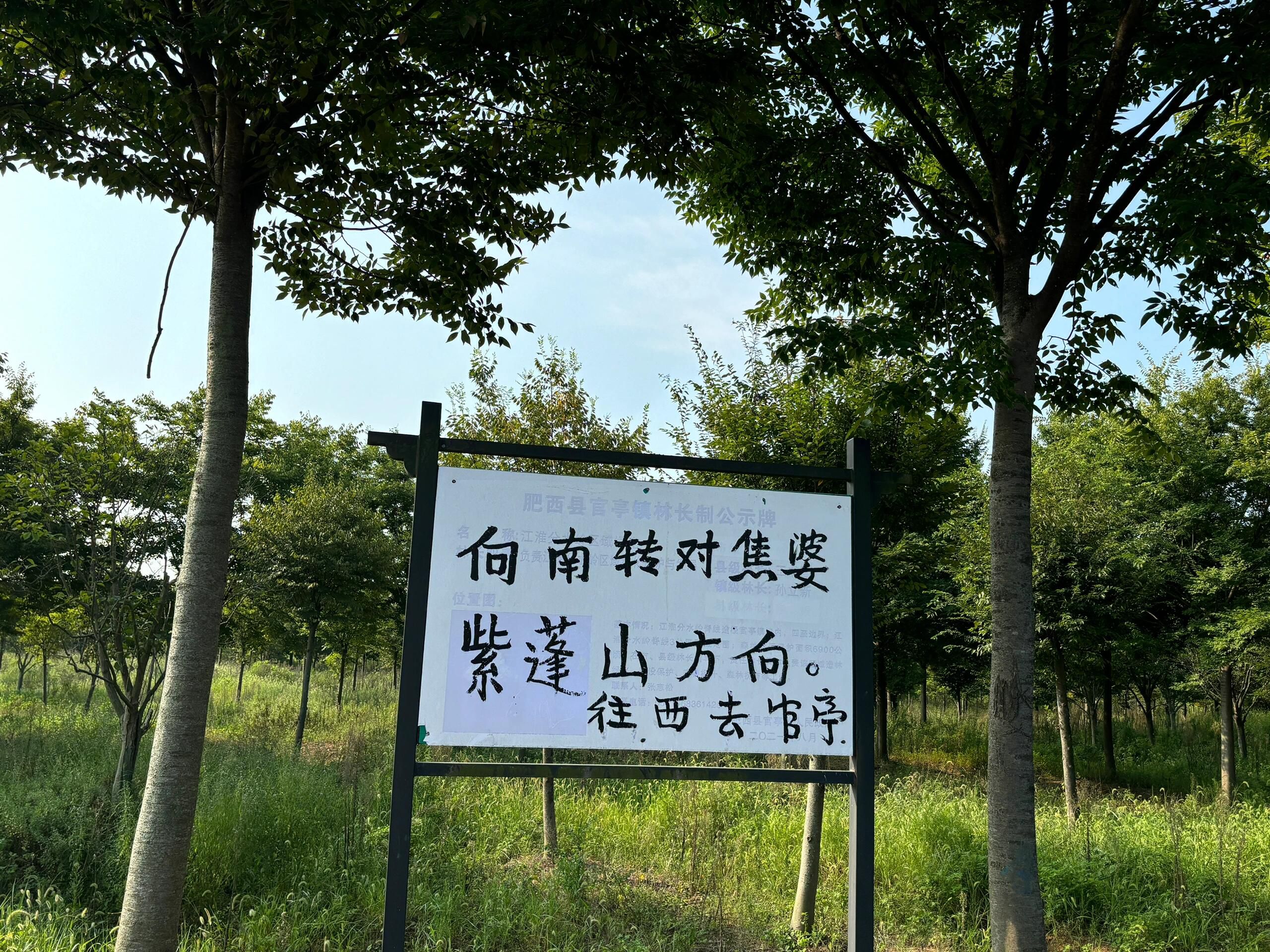 官亭林海旅行图片 1