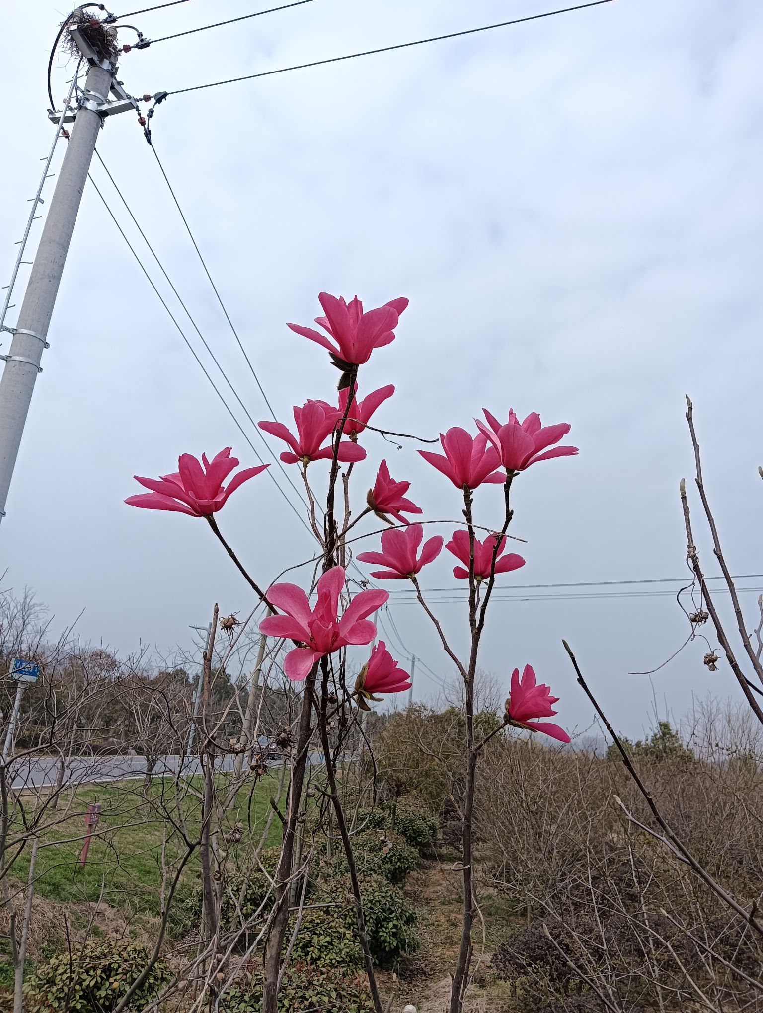 官亭林海旅行图片 3