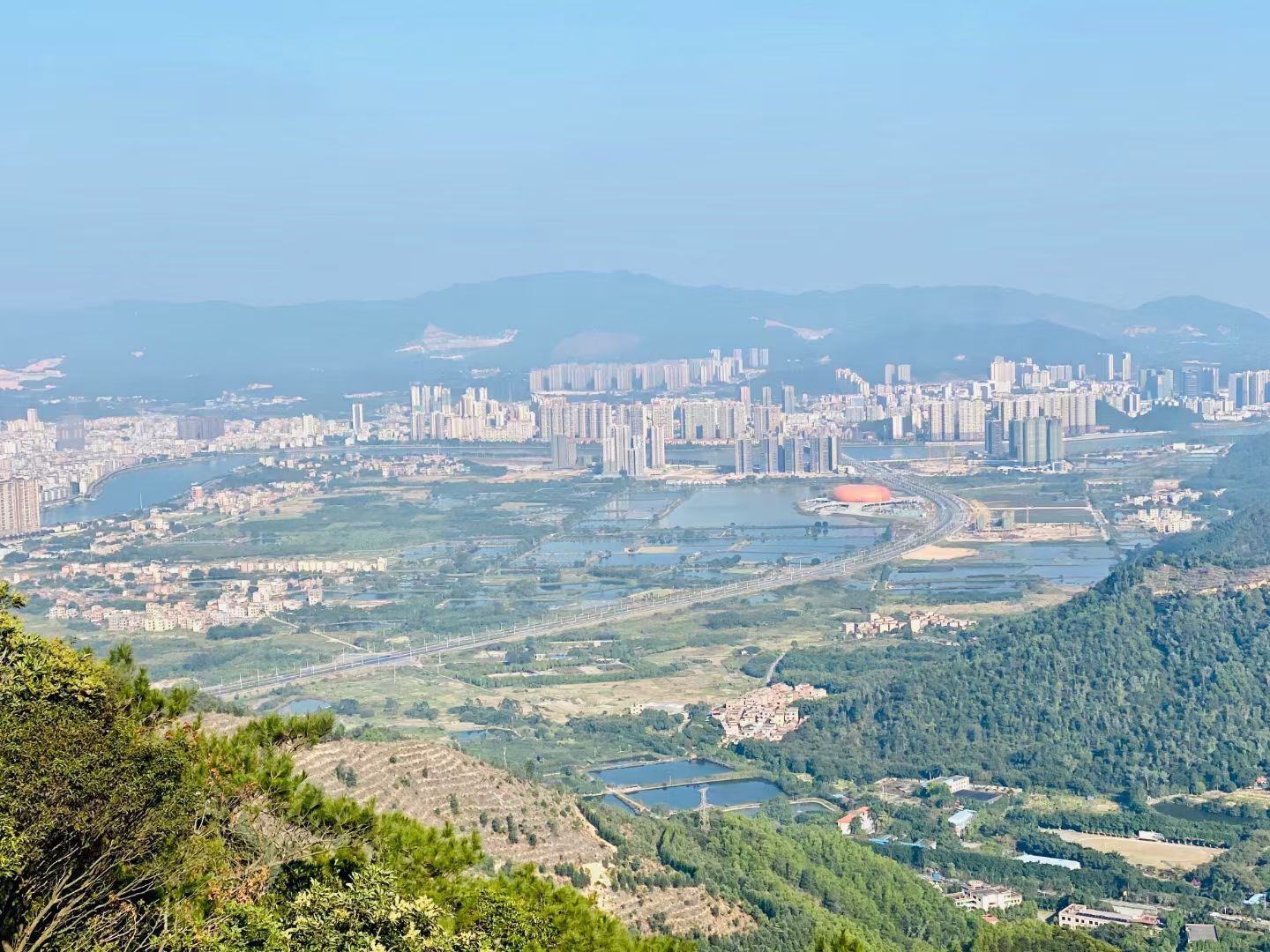 贞山电视塔(不对外开放)旅行图片 1