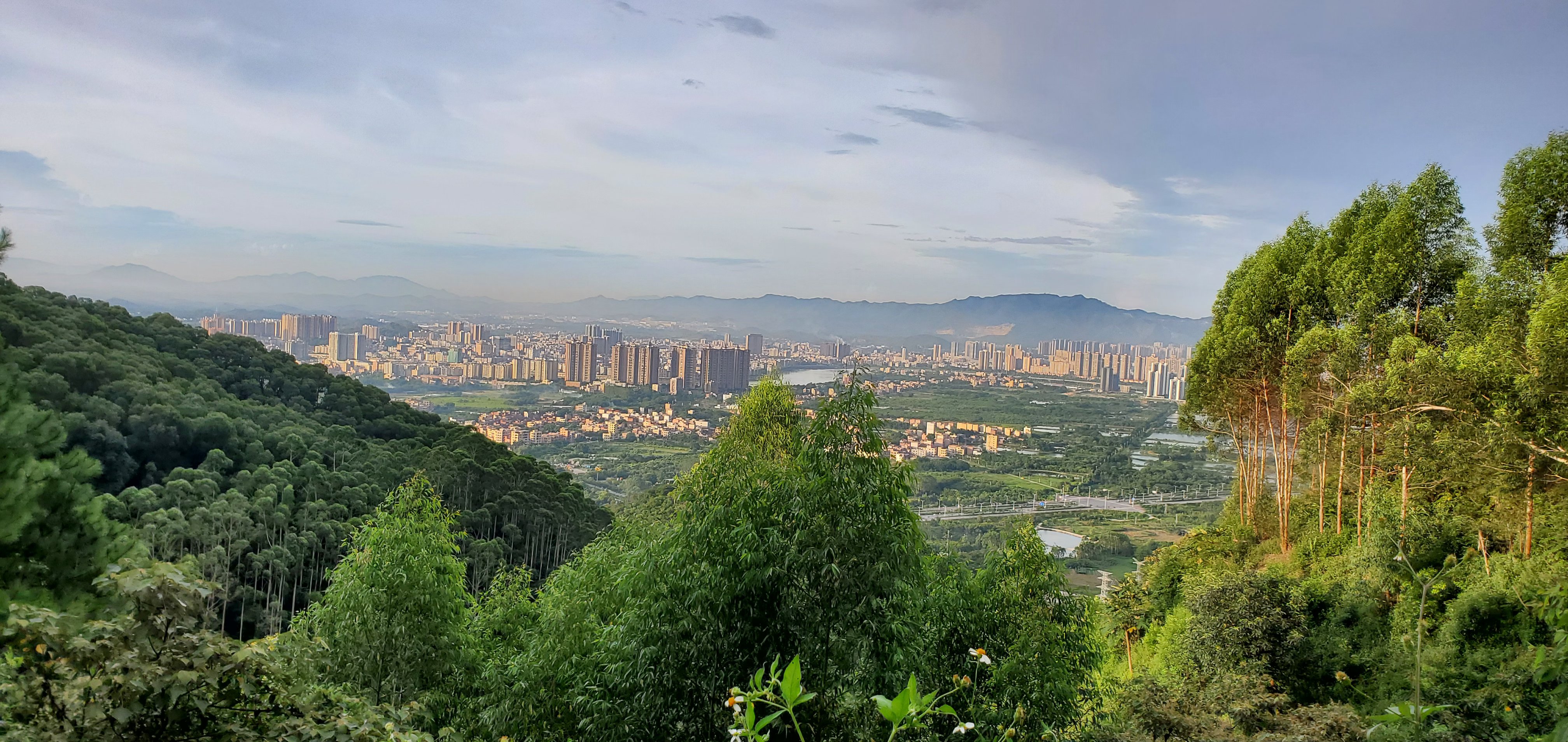 贞山电视塔(不对外开放)旅行图片 1