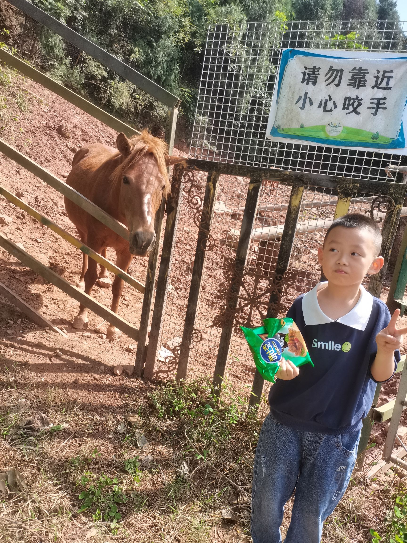 花好月圆旅行图片 3