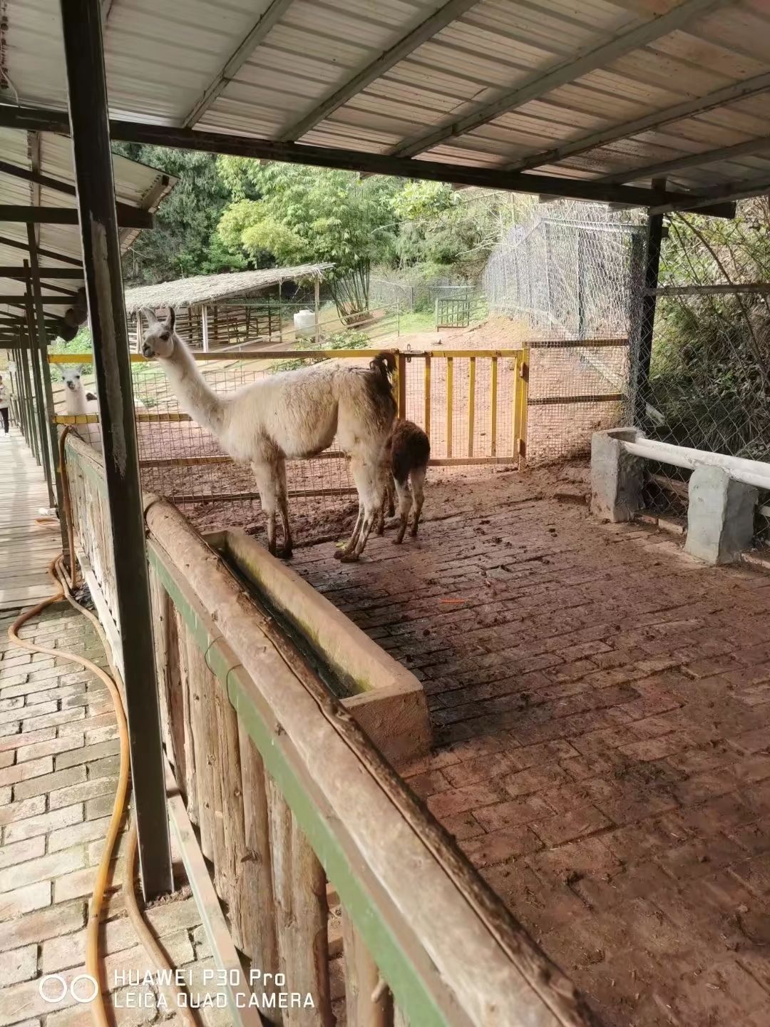 花好月圆旅行图片 1