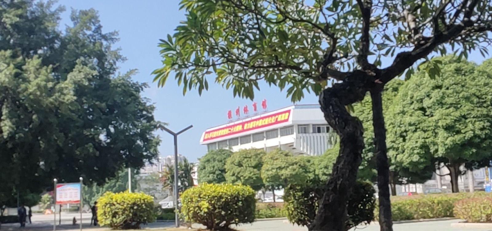 横州市体育中心广场旅行图片 1