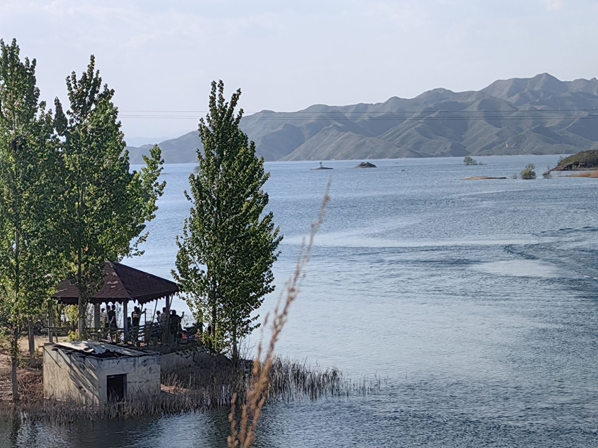 樱花溪谷旅行图片 3