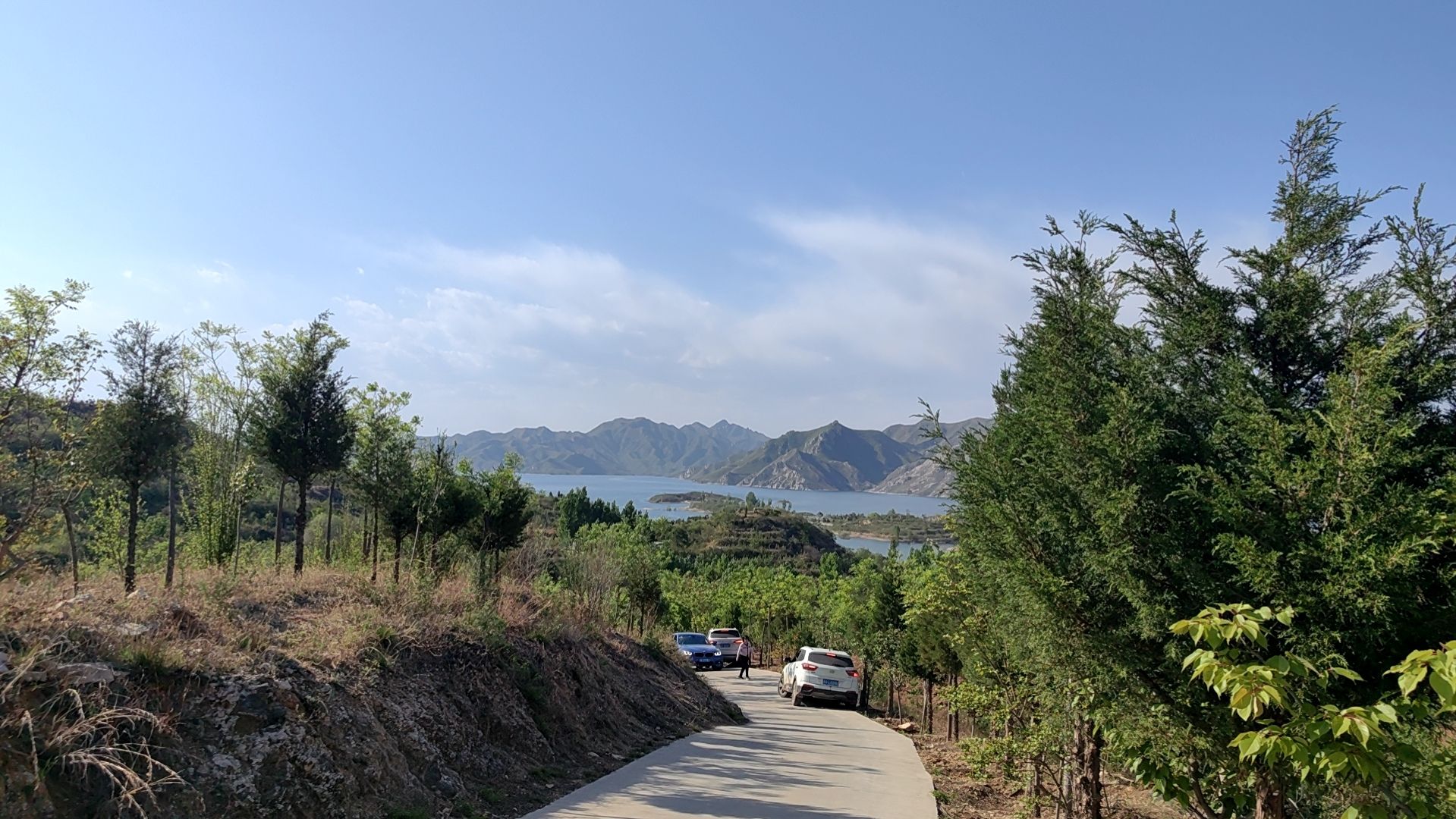 樱花溪谷旅行图片 1