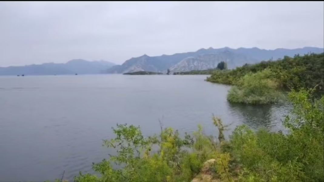 樱花溪谷旅行图片 2