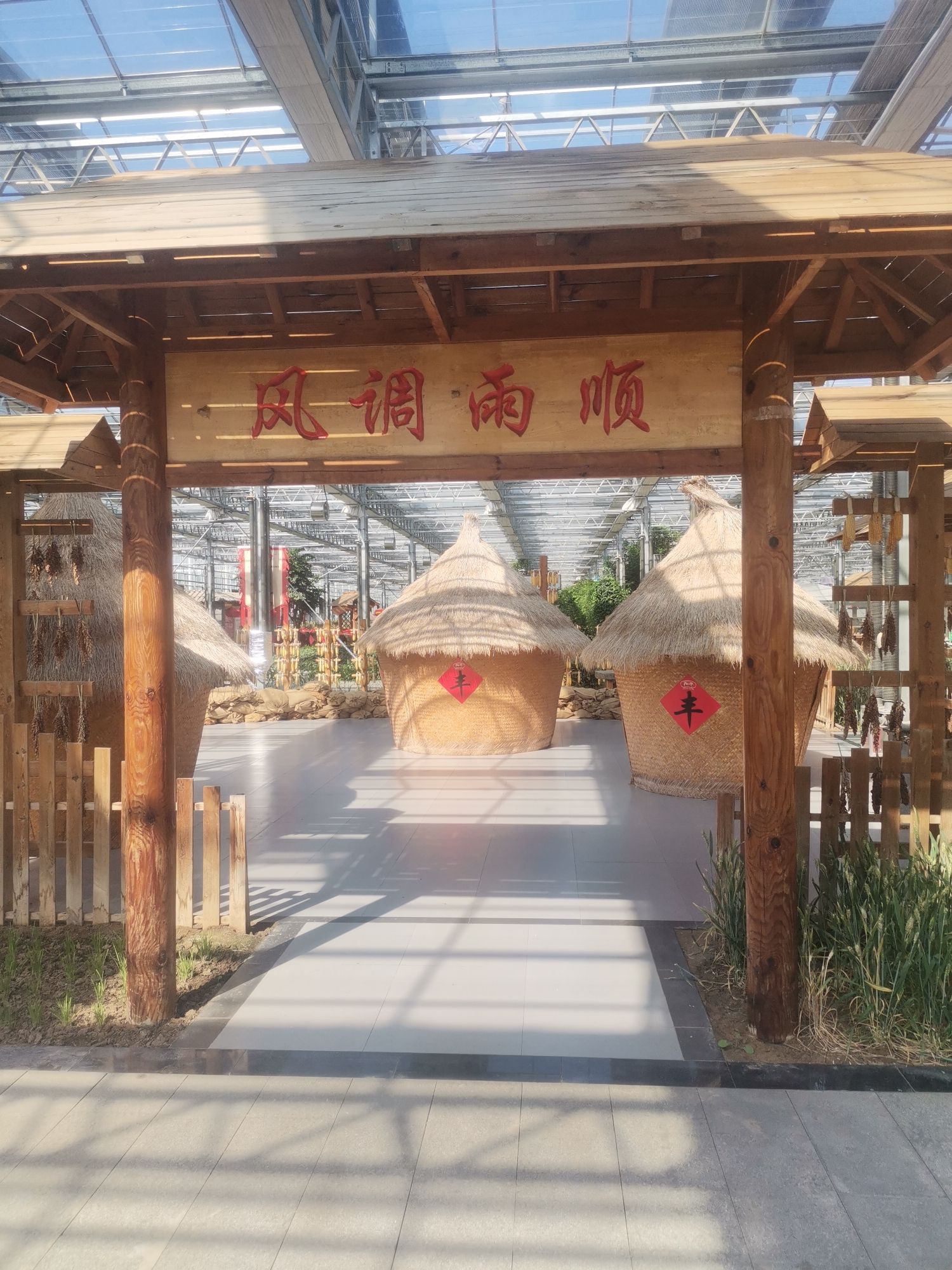 莘县中原现代农业嘉年华旅行图片 1