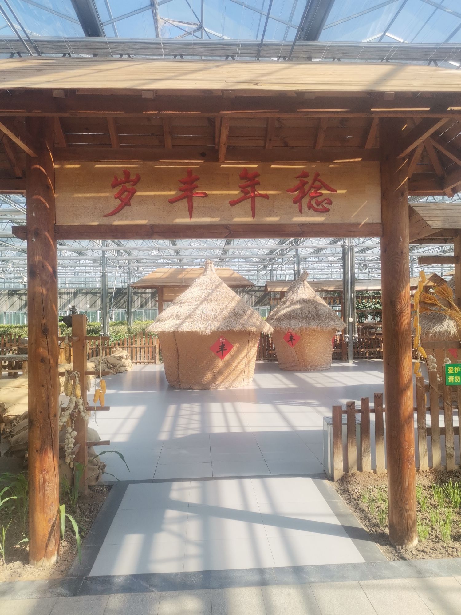 莘县中原现代农业嘉年华旅行图片 3