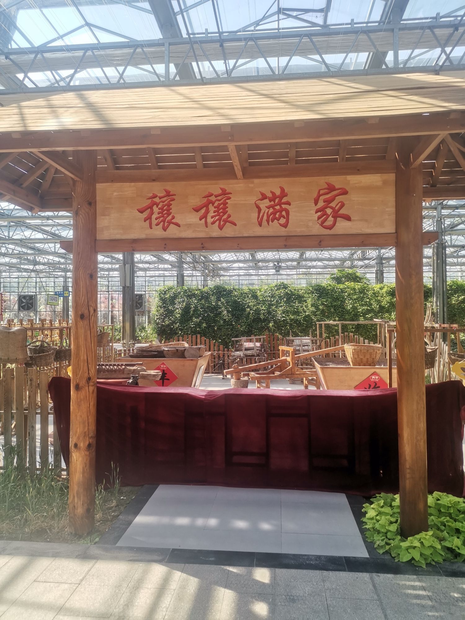 莘县中原现代农业嘉年华旅行图片 2