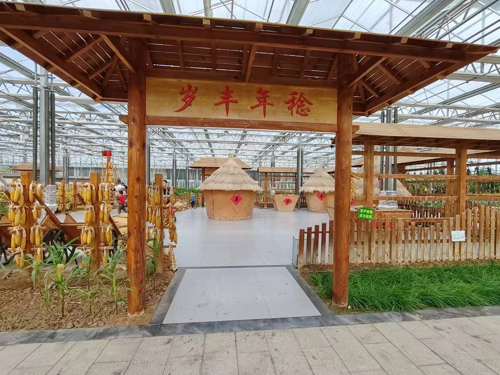 莘县中原现代农业嘉年华旅行图片 2