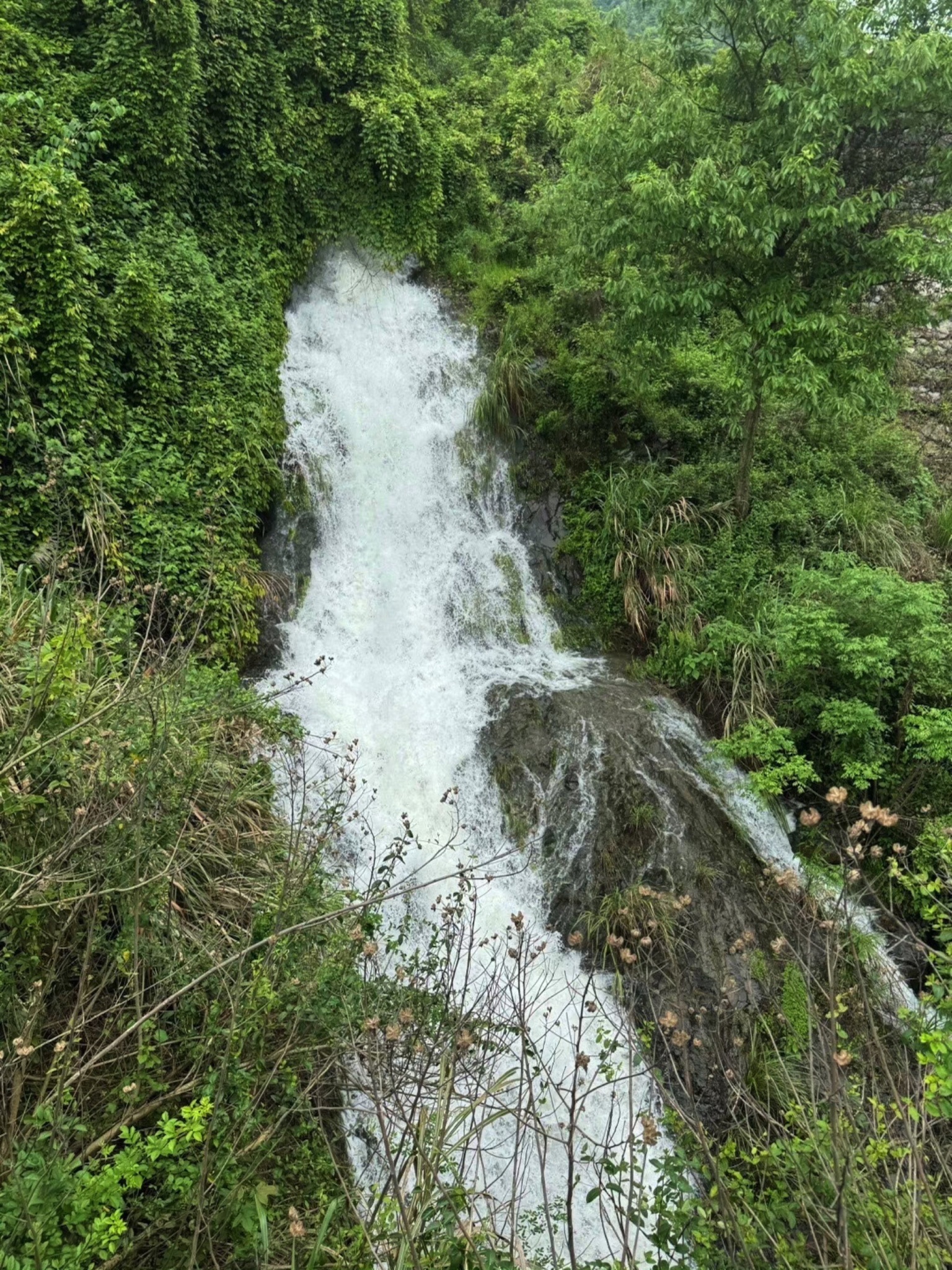 横腊花海旅行图片 1
