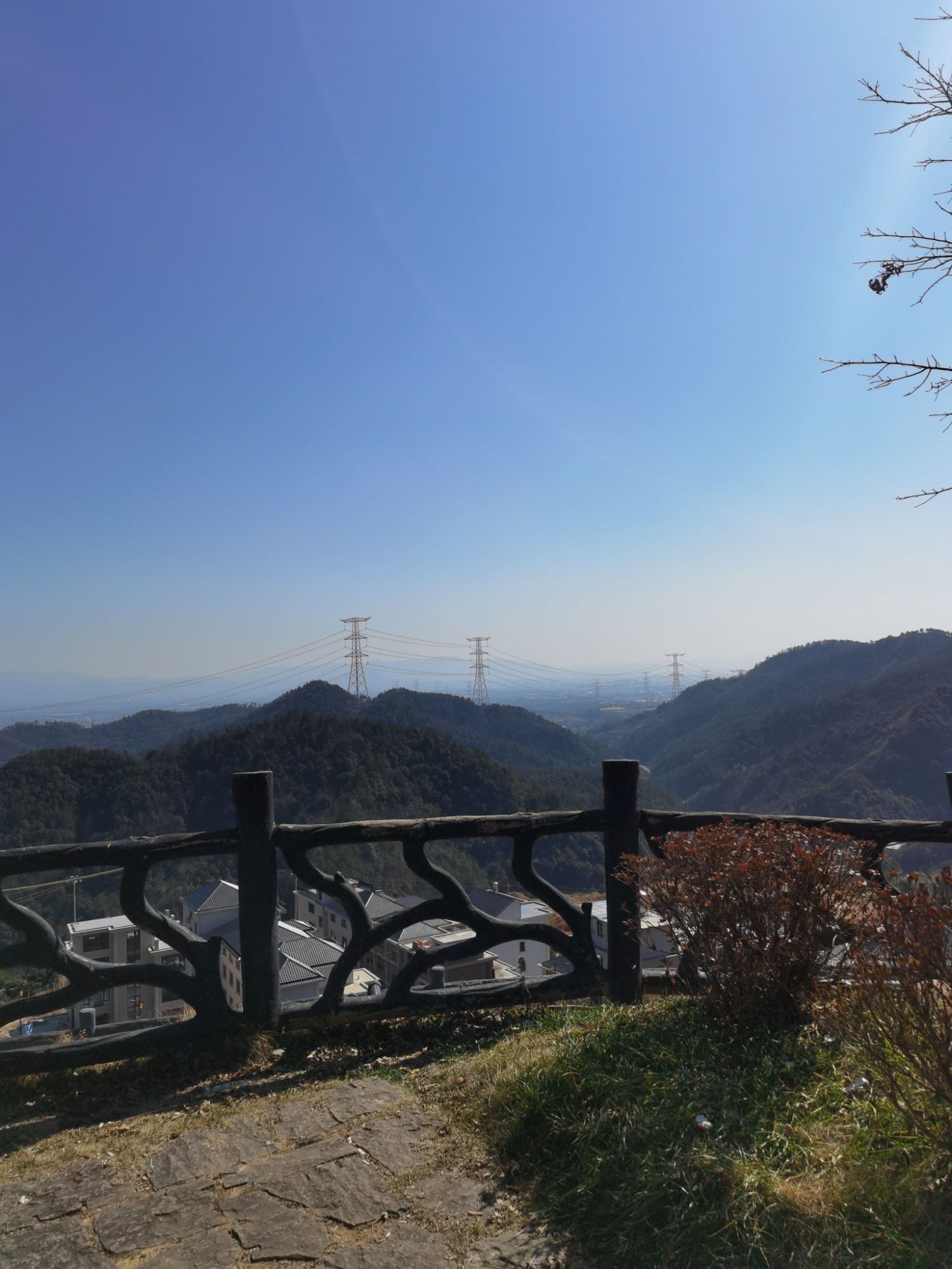 横腊花海旅行图片 1