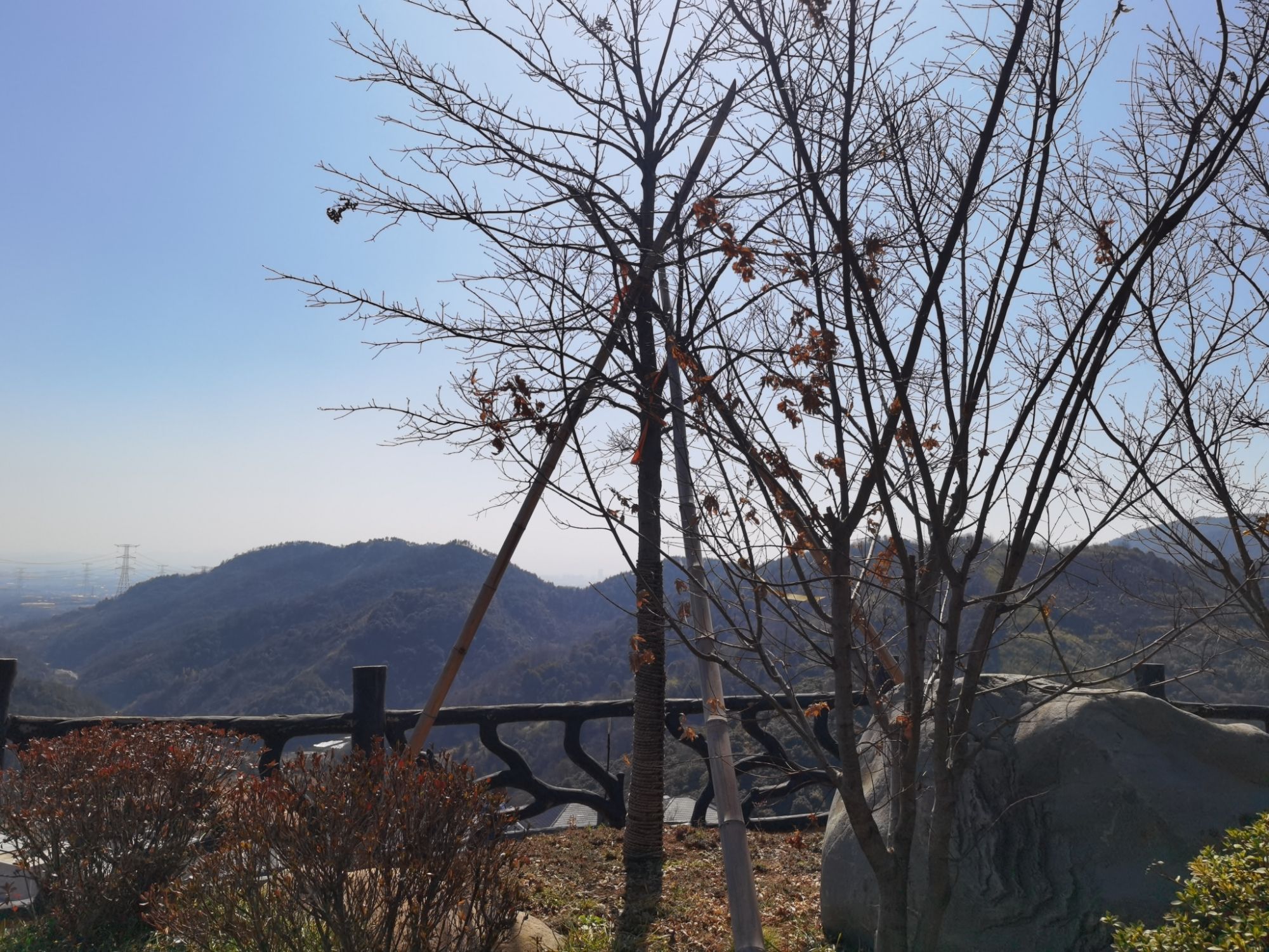 横腊花海旅行图片 2