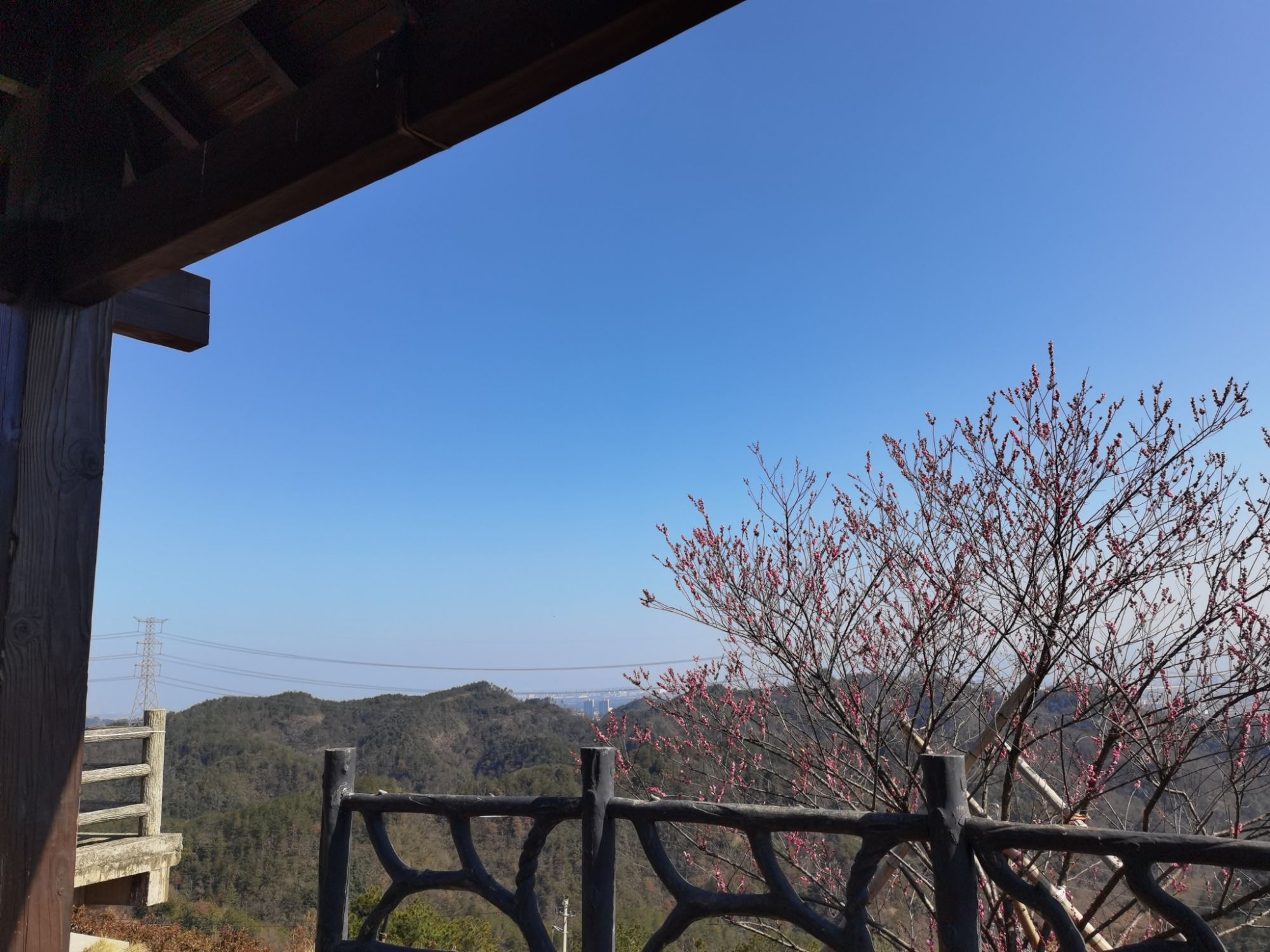 横腊花海旅行图片 3
