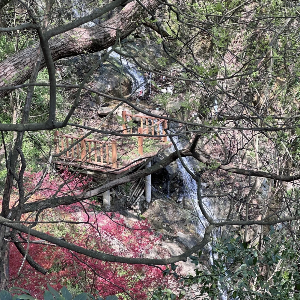 横腊花海旅行图片 1