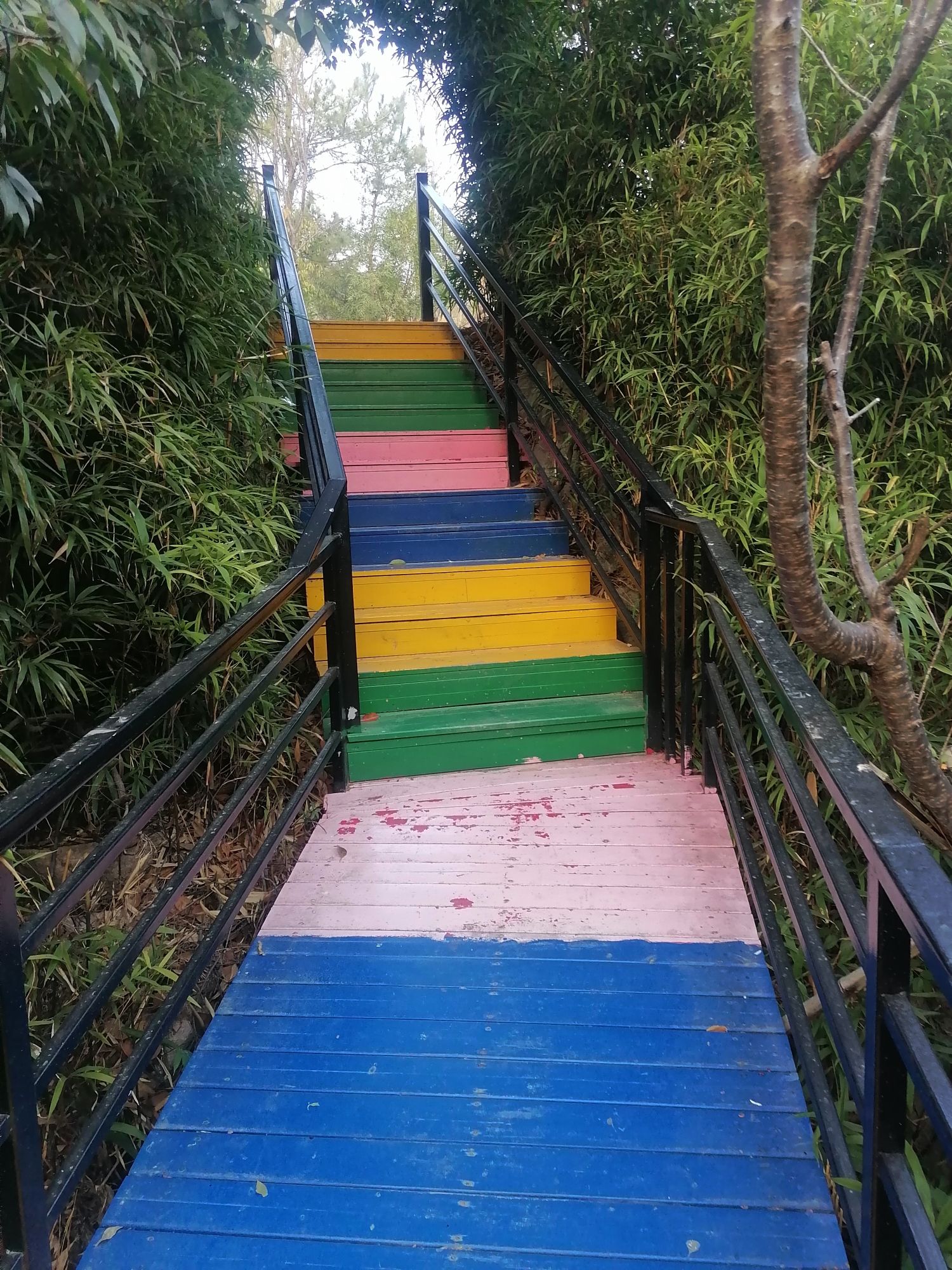 清境桃源旅行图片 1