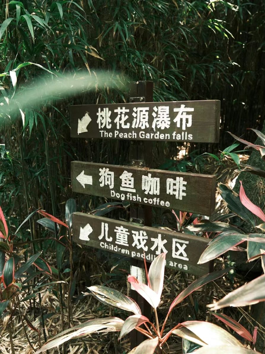 清境桃源旅行图片 3