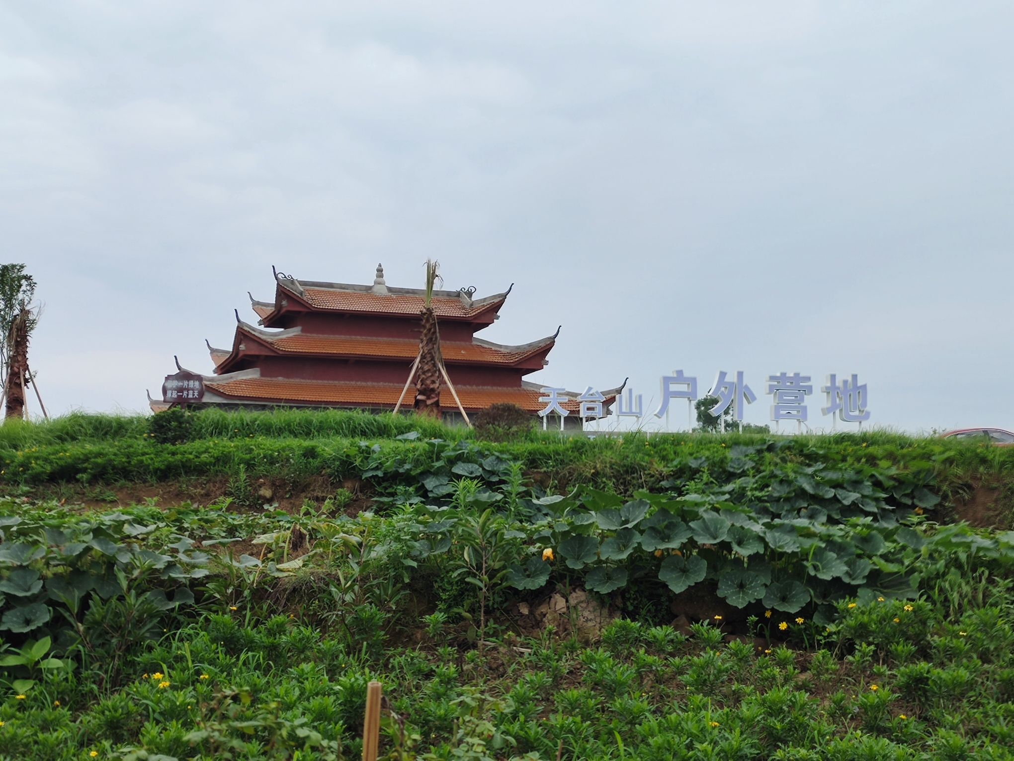 天台山桃花园旅行图片 1