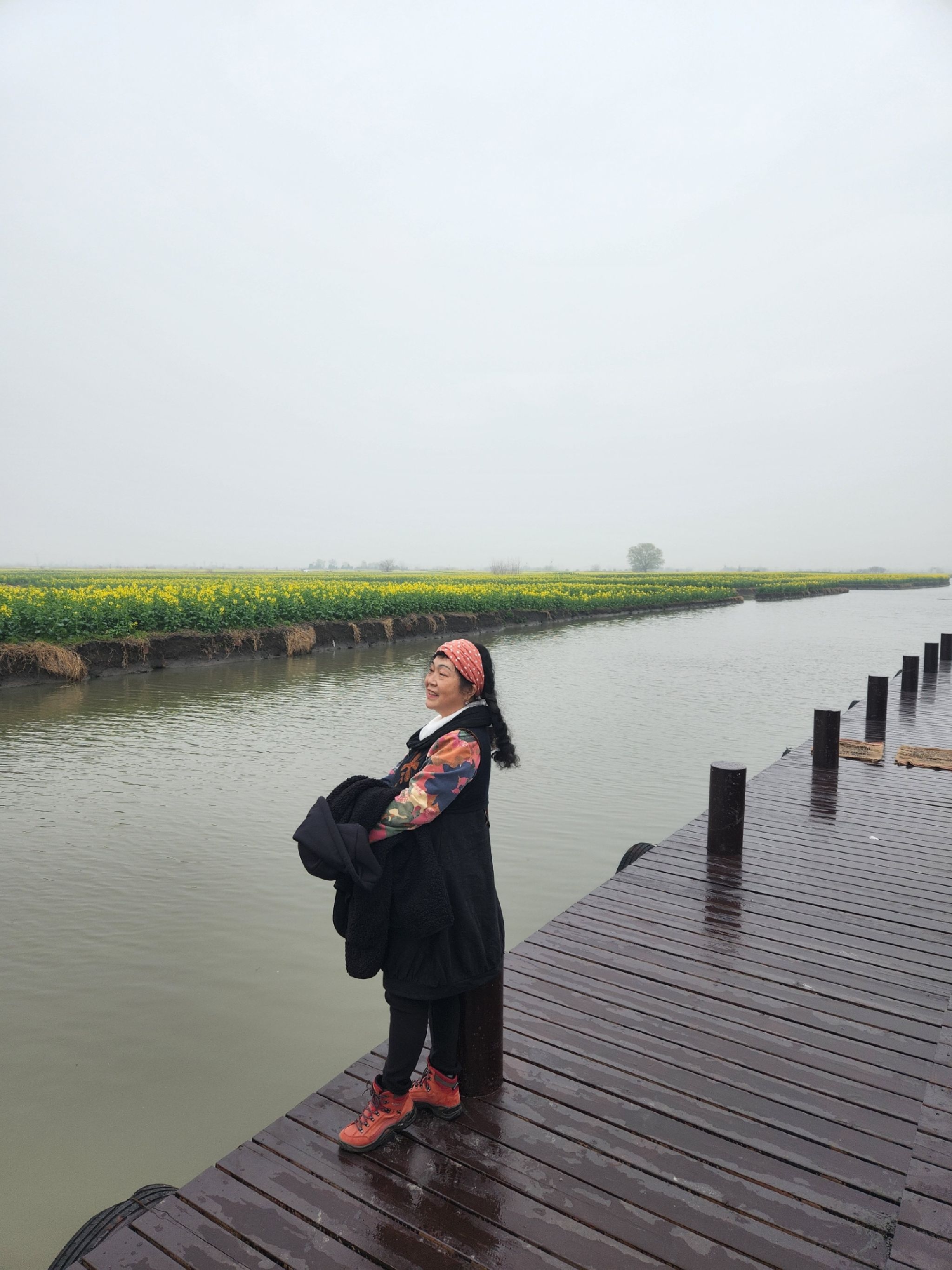 台儿庄油菜花海景观旅行图片 2