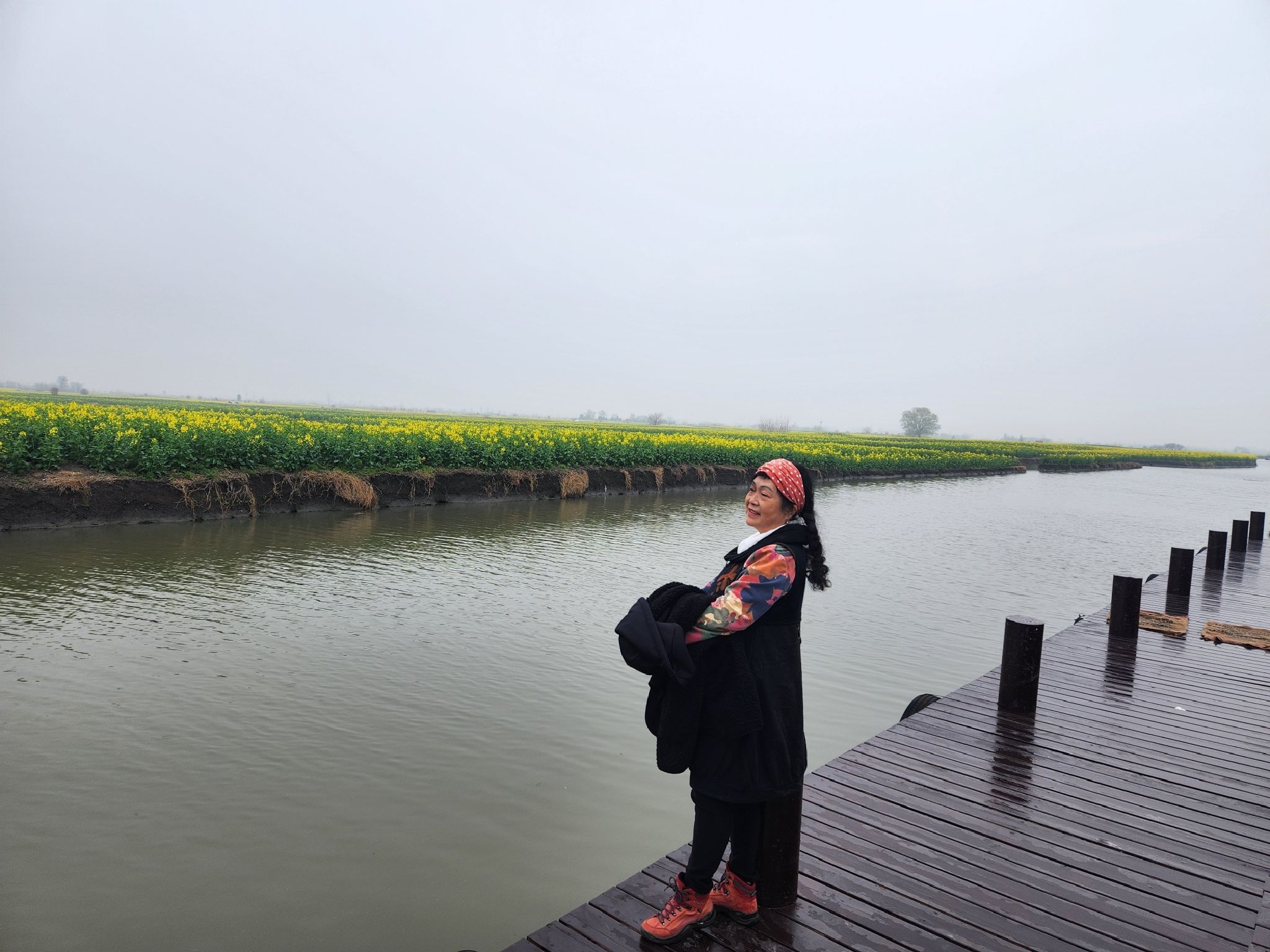台儿庄油菜花海景观旅行图片 1