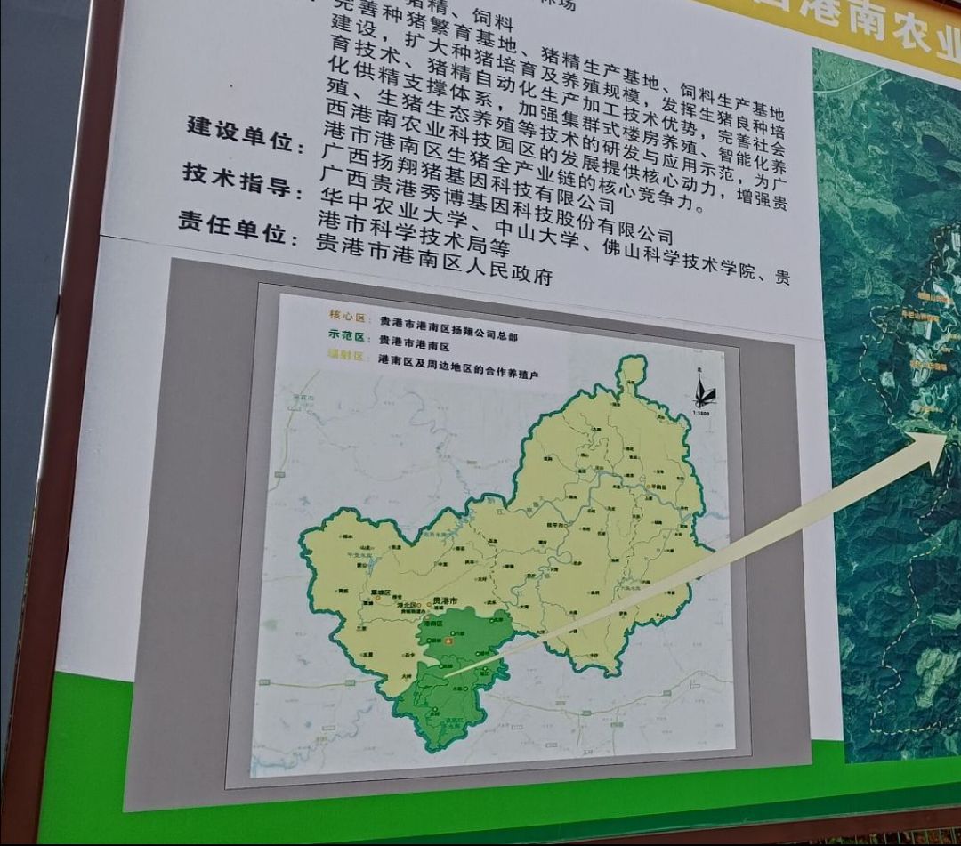 亚计山国家森林公园旅行图片 2