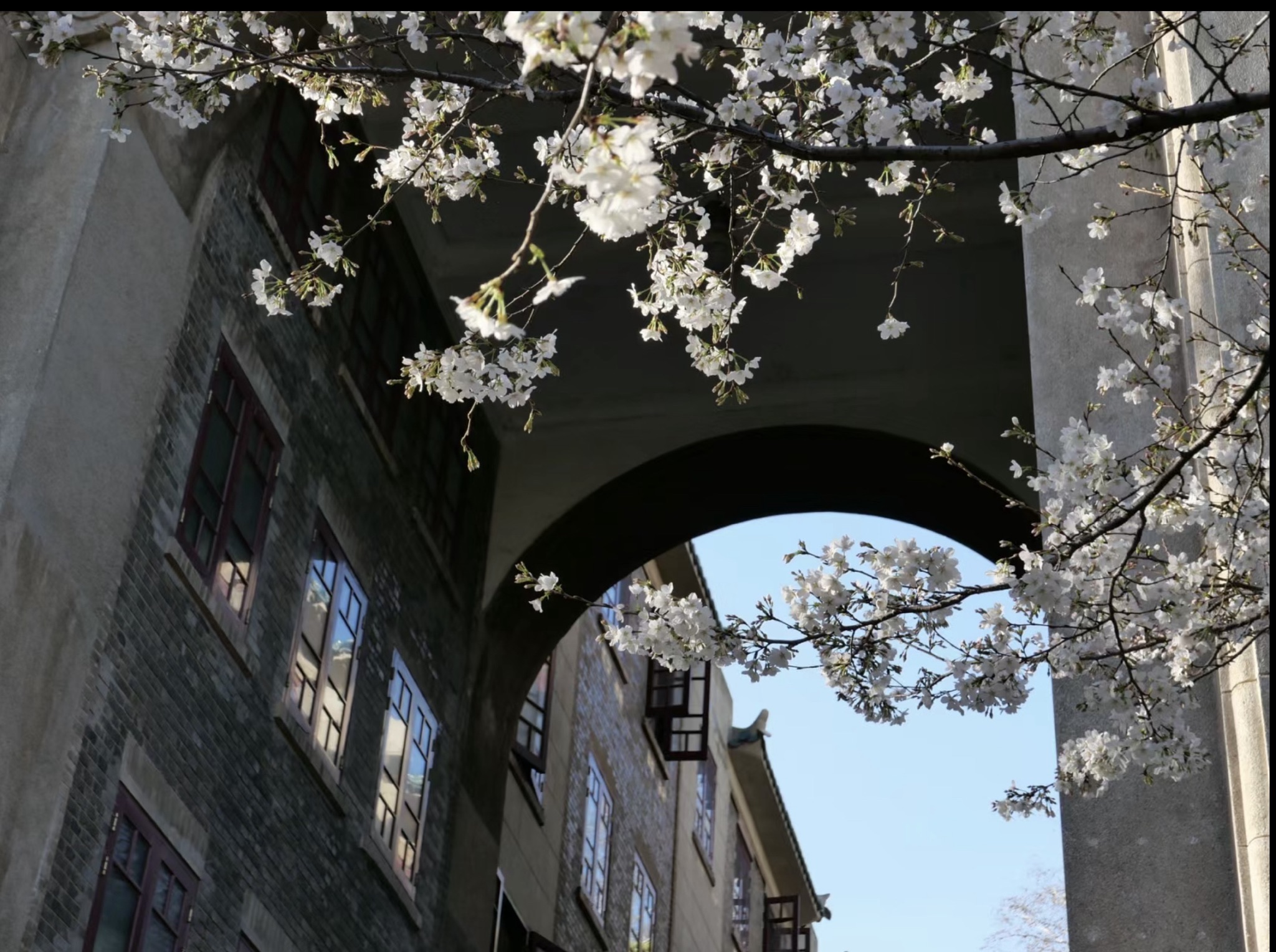 武汉大学文理学部