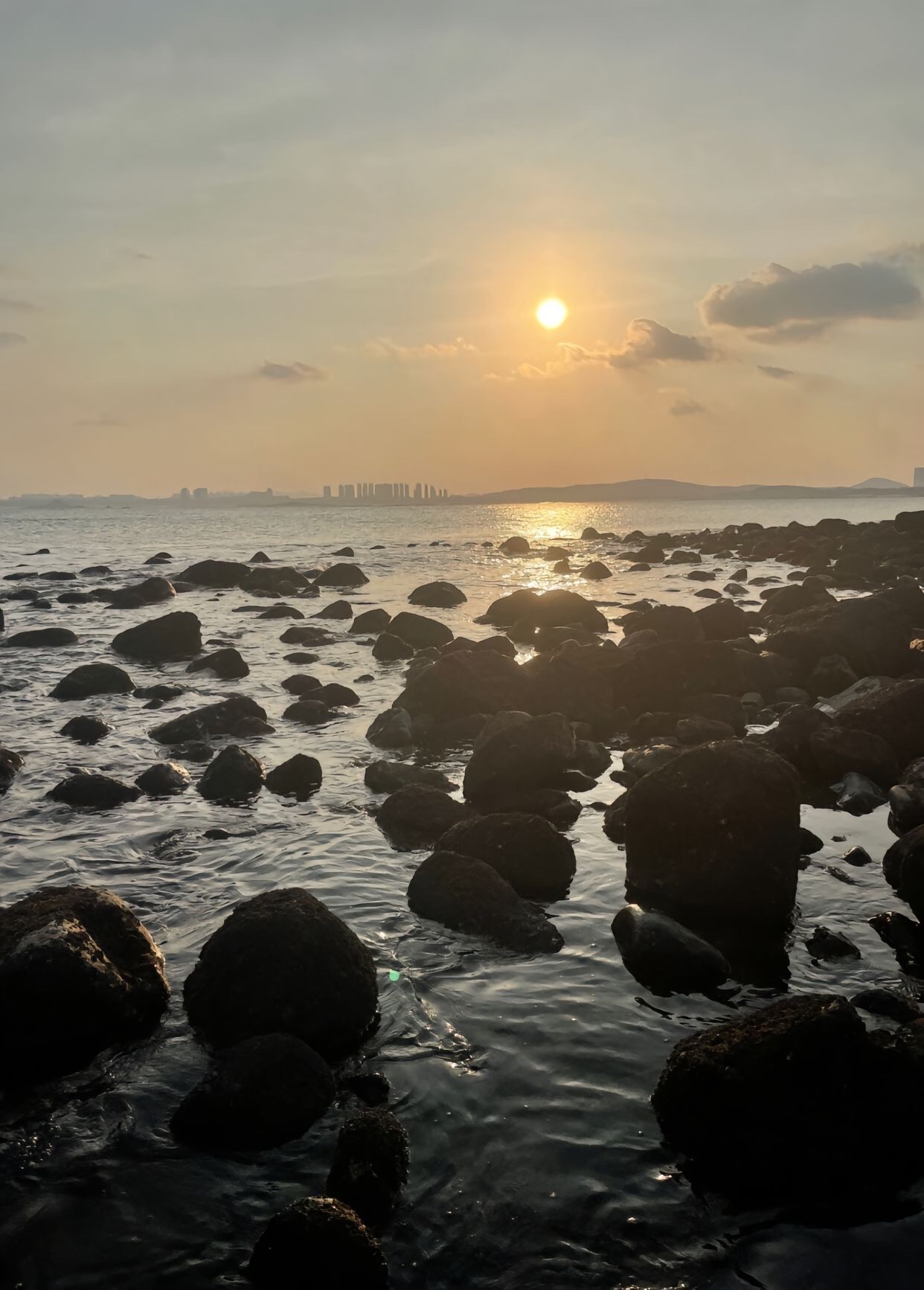 九龙湾公园旅行图片 1