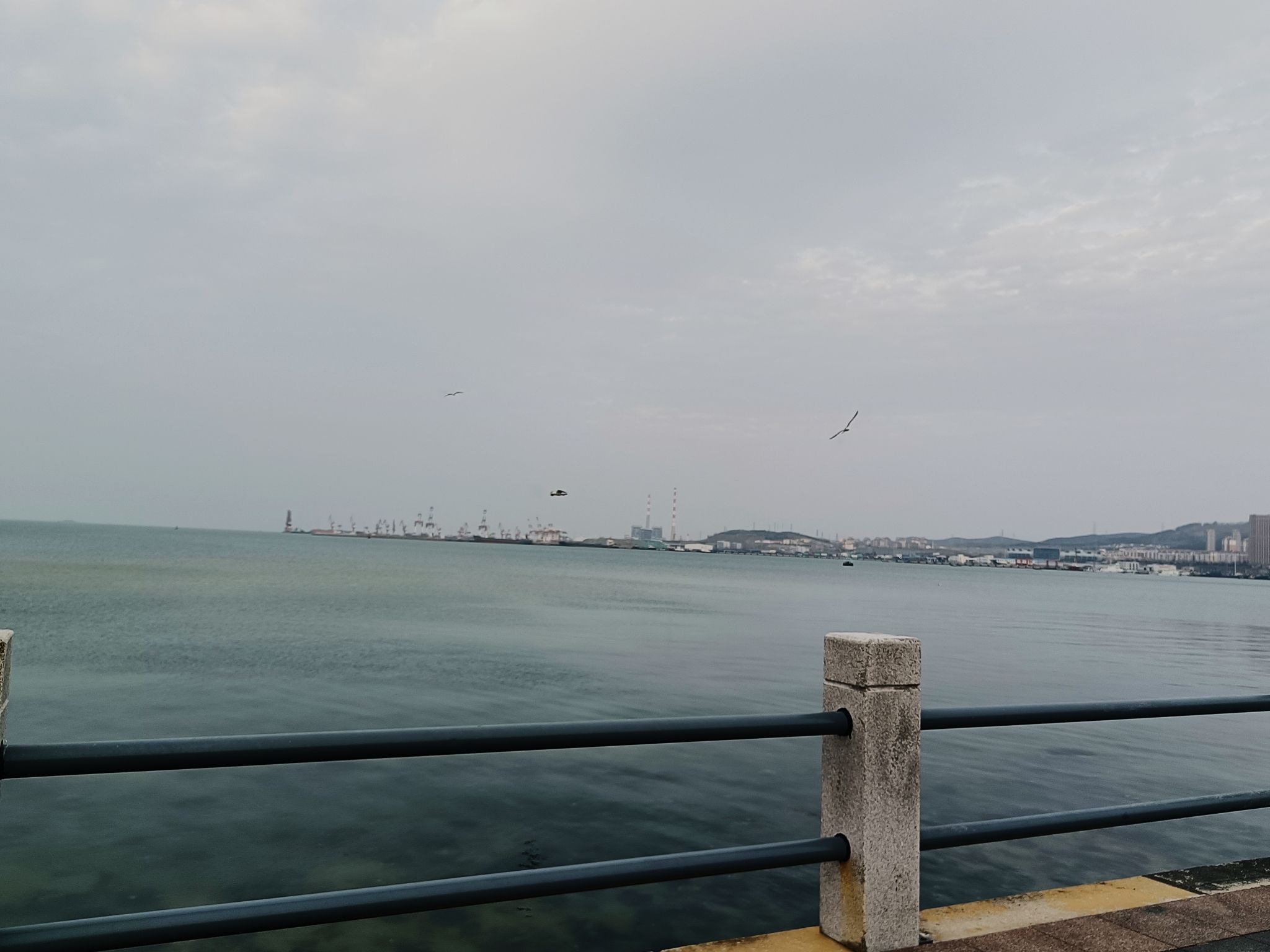 九龙湾公园旅行图片 3