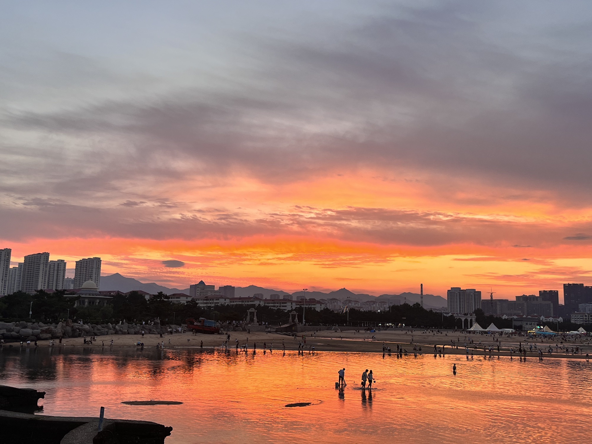 九龙湾公园旅行图片 1