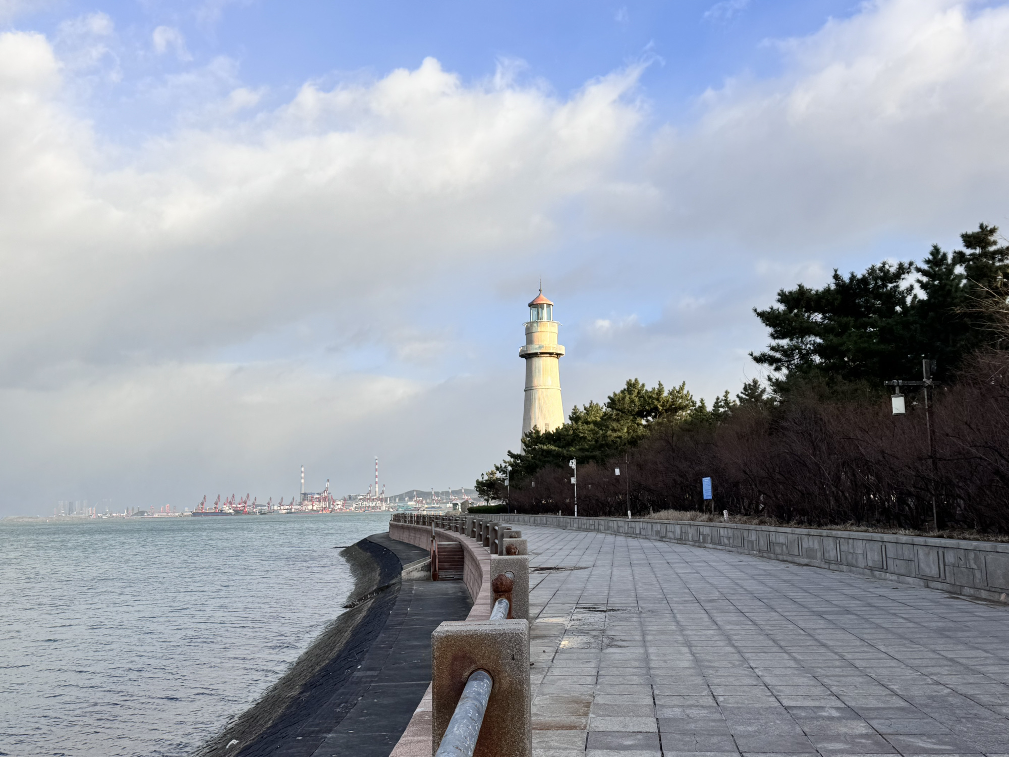 九龙湾公园旅行图片 1
