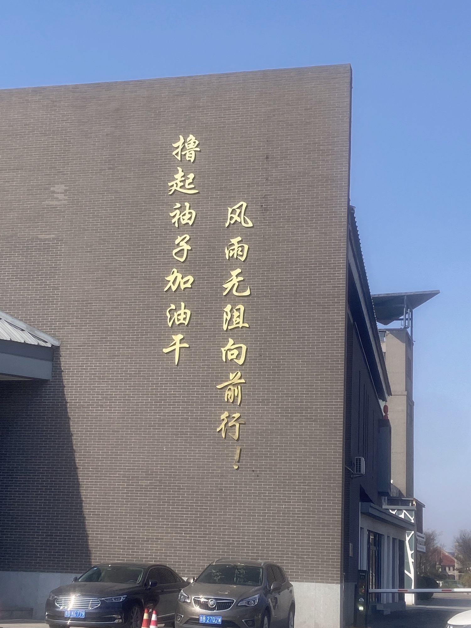 九龙湾公园旅行图片 2