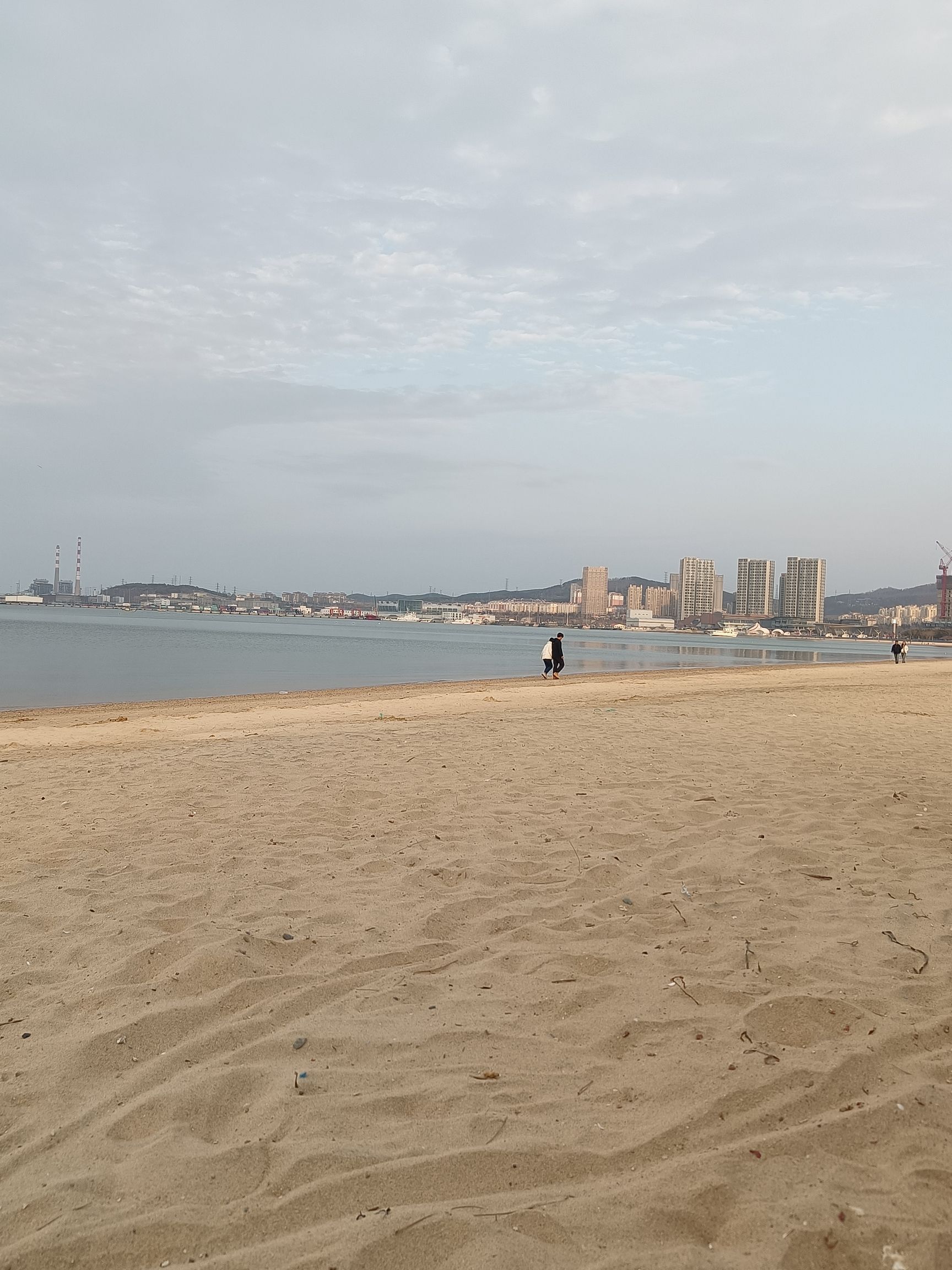 九龙湾公园旅行图片 1