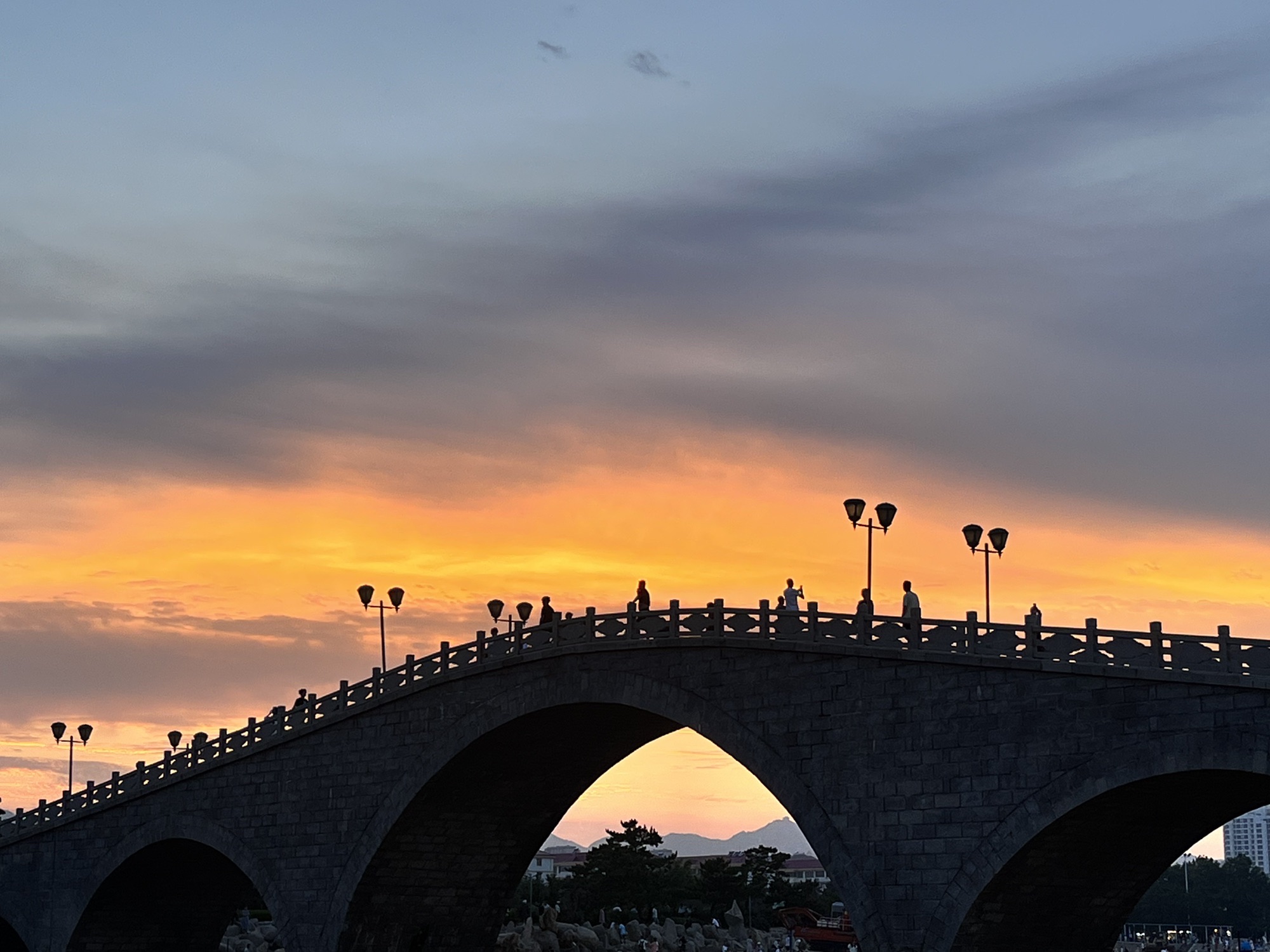 九龙湾公园旅行图片 3