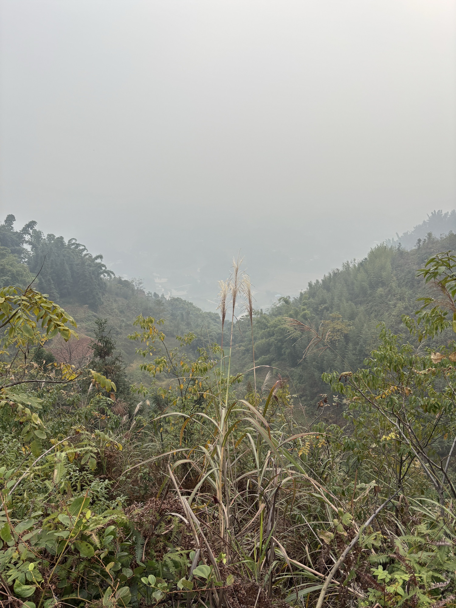 红岩一线天旅行图片 2