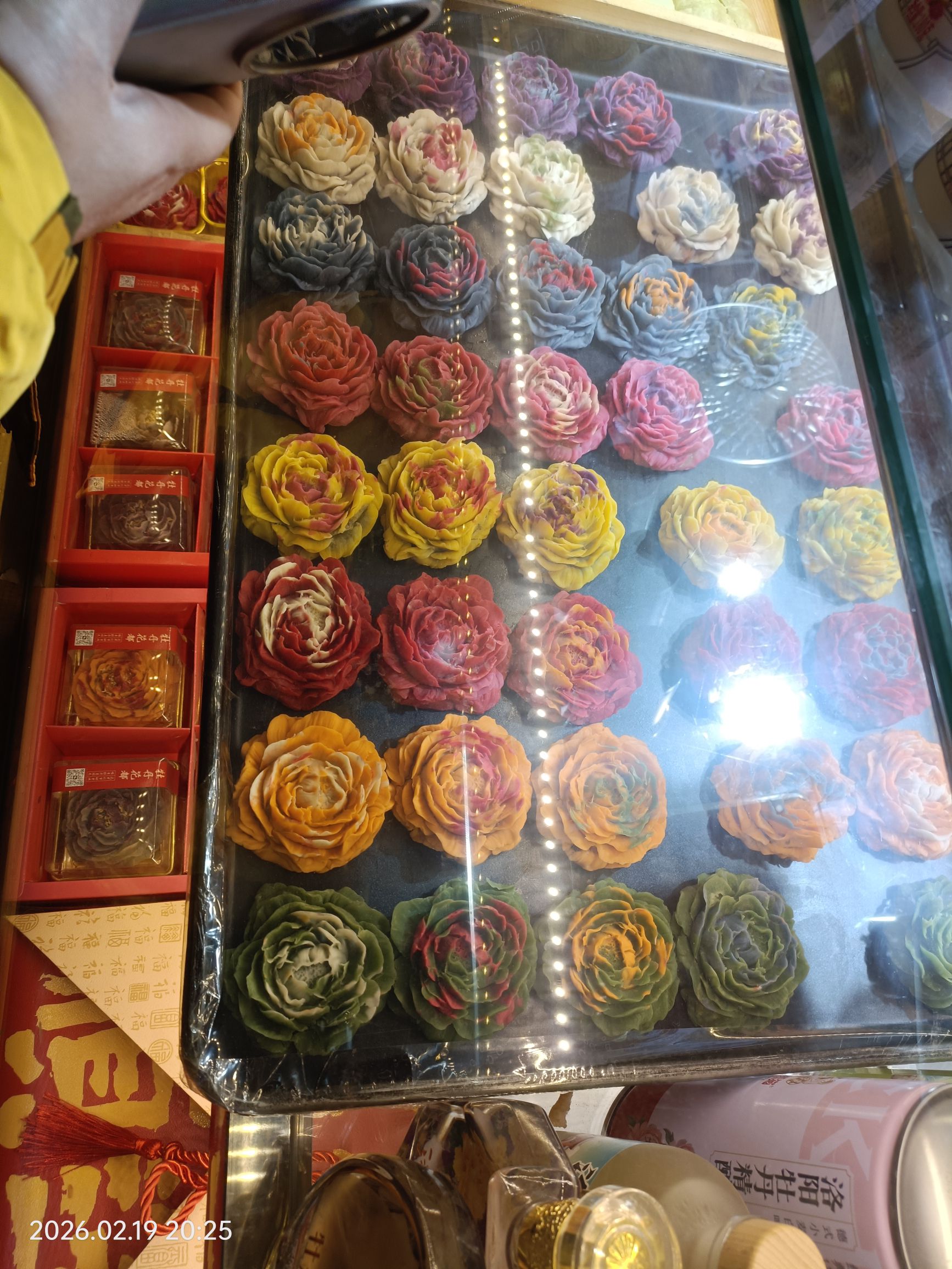 洛邑古城旅行图片 1