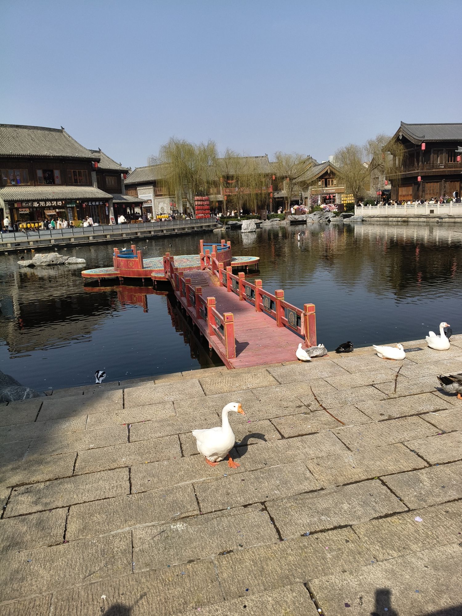 洛邑古城旅行图片 3