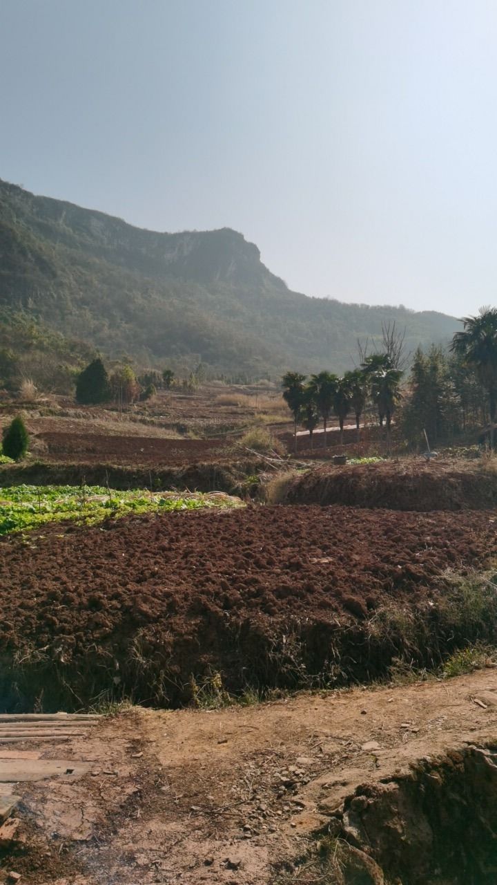 仙姑岩风景区旅行图片 2