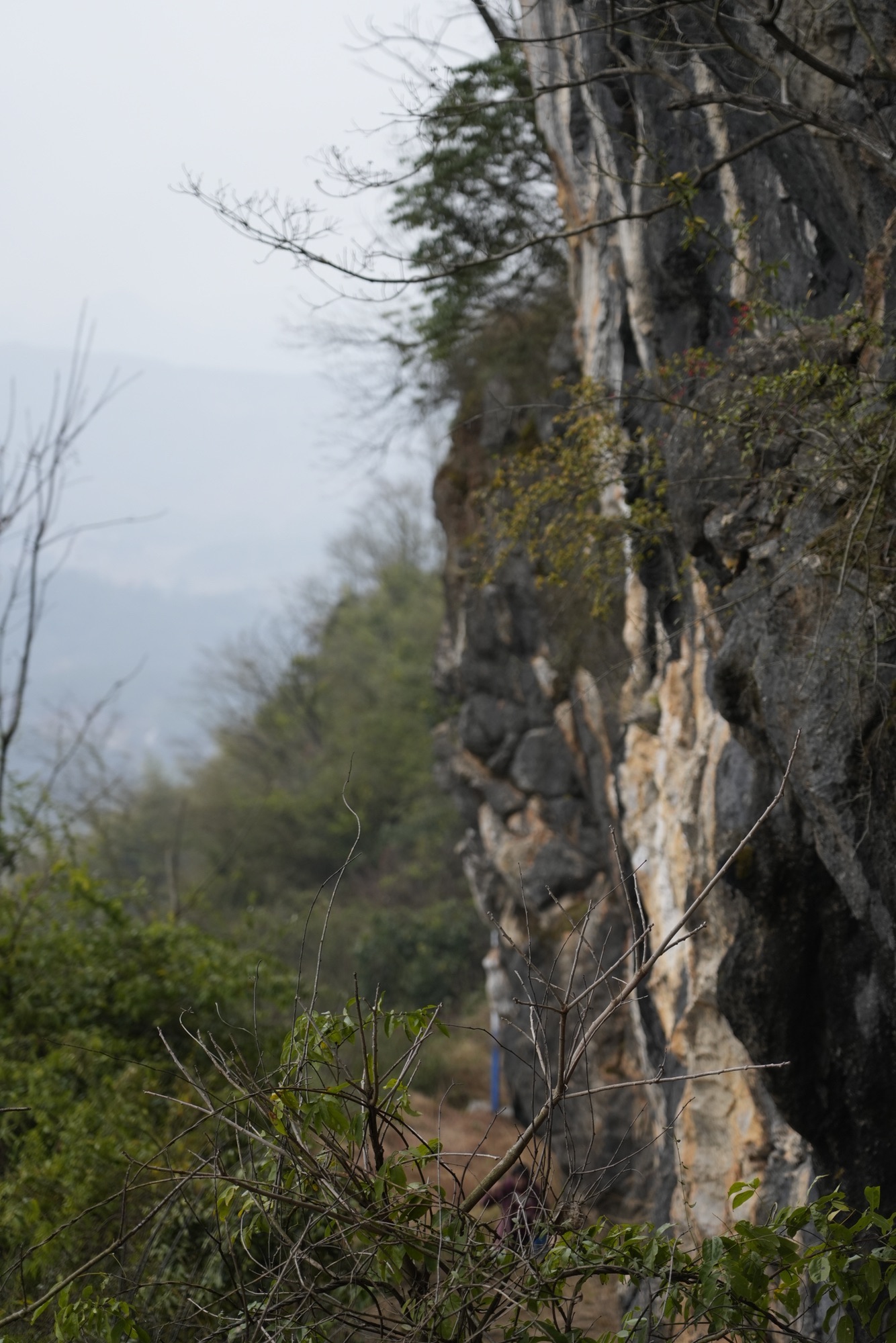 仙姑岩风景区旅行图片 3
