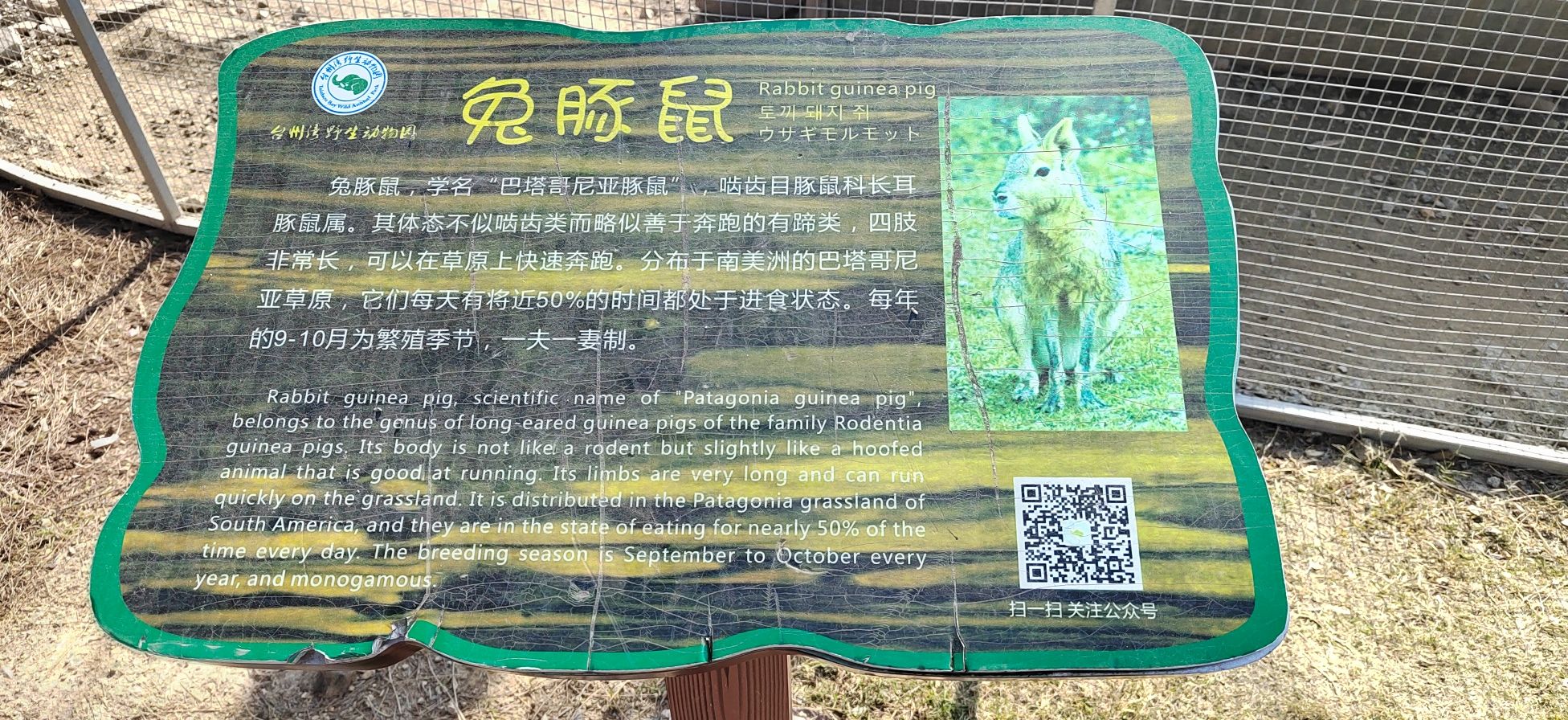 台州湾野生动物园旅行图片 3