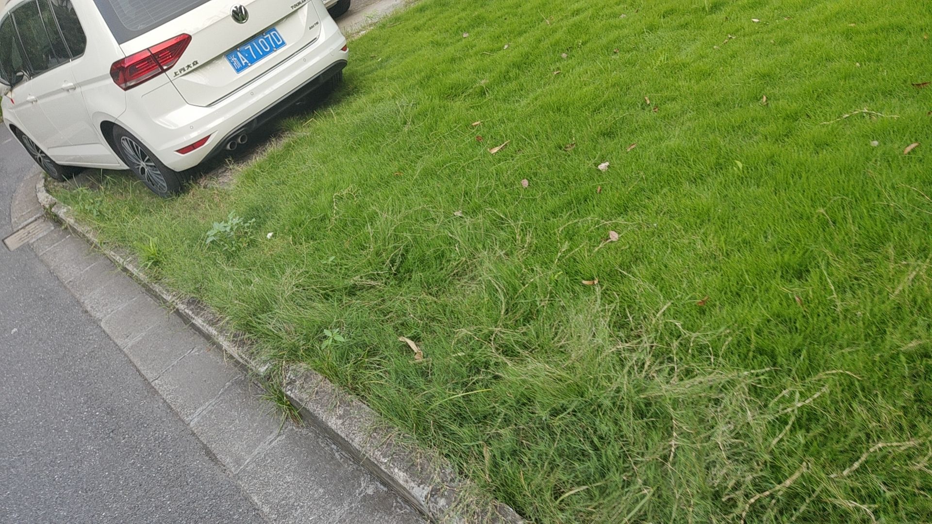 台州湾野生动物园旅行图片 3