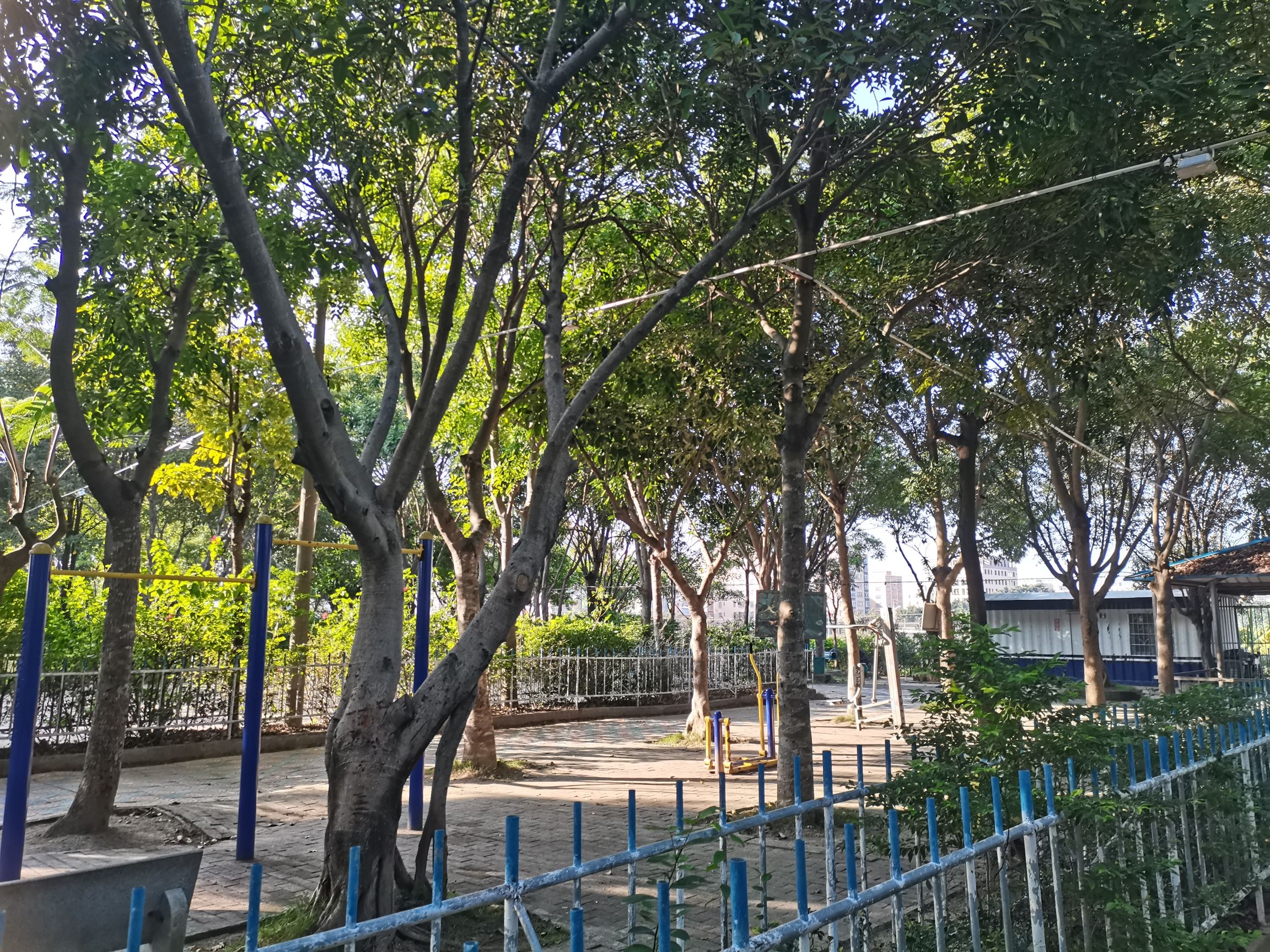 陈厝围文化公园旅行图片 2