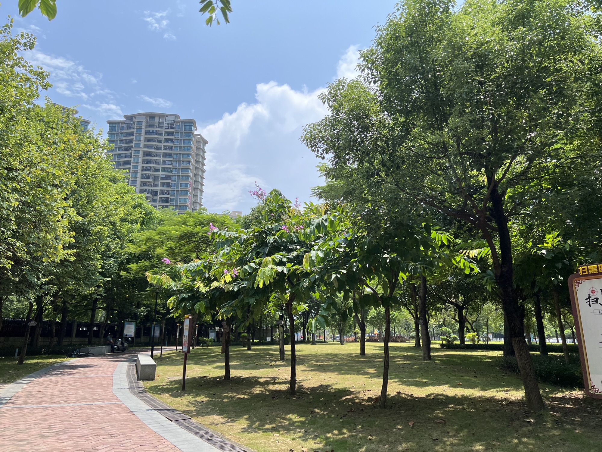 高丰公园旅行图片 2