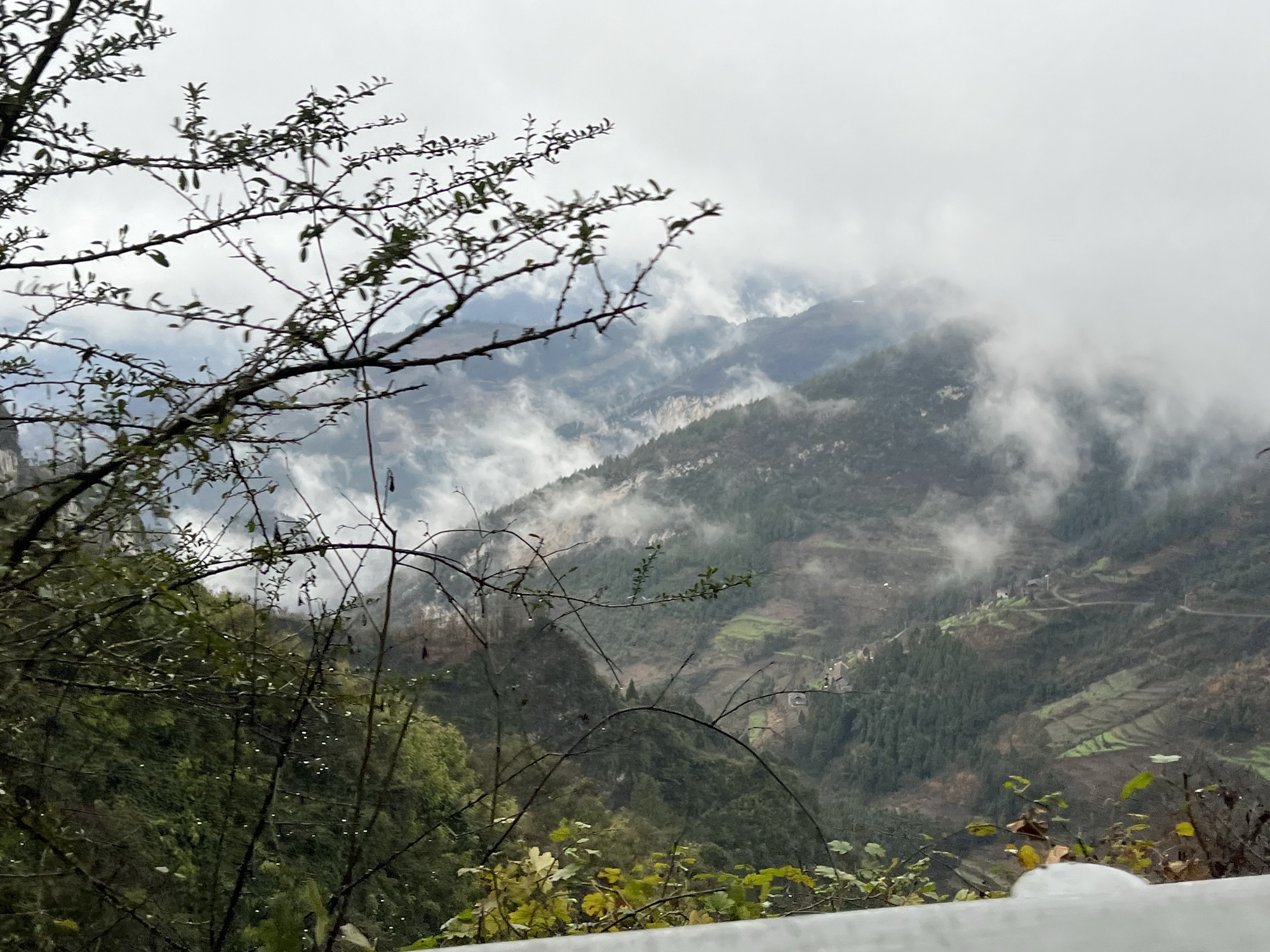 双山苗王寨旅行图片 1