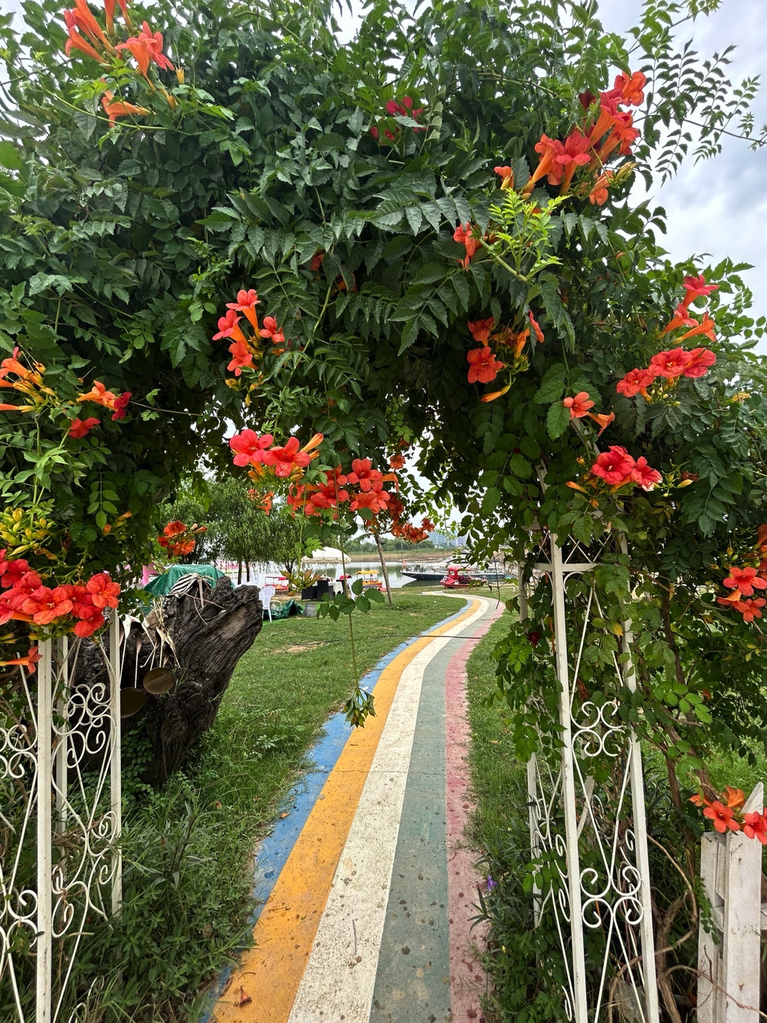 十洲公园旅行图片 3