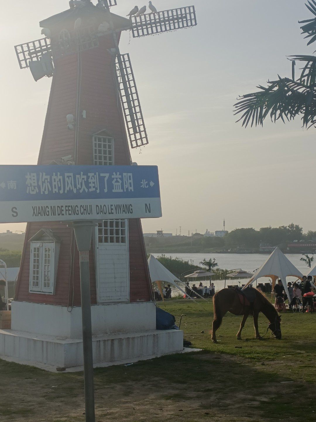 十洲公园旅行图片 3
